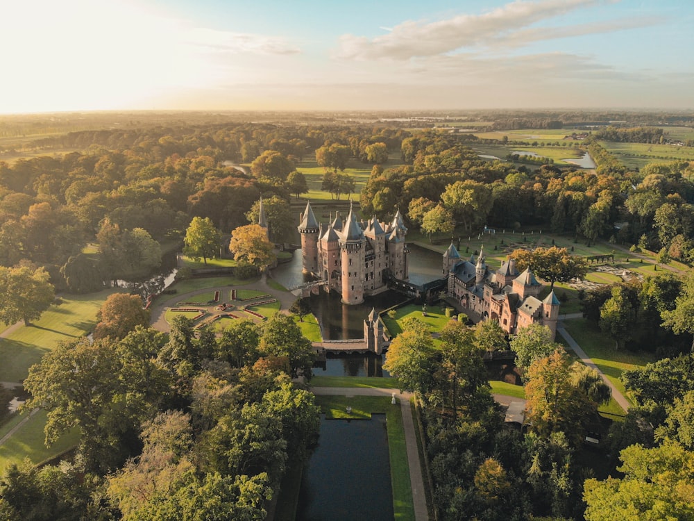 an aerial view of a castle surrounded by trees