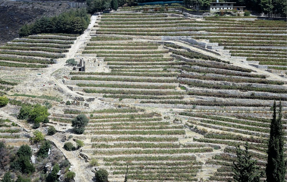Château Ksara 3