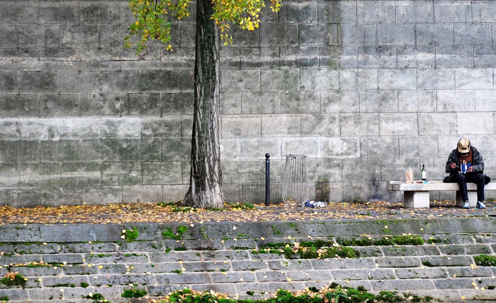 a person sitting on a bench next to a tree