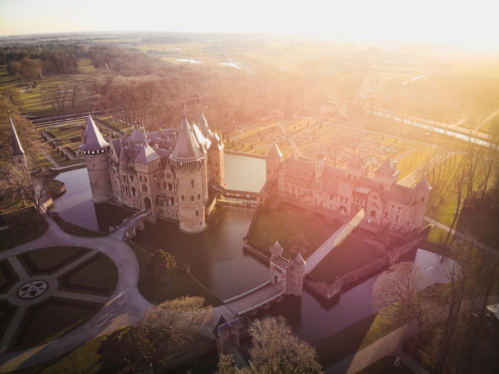 an aerial view of a castle with a pond in front of it