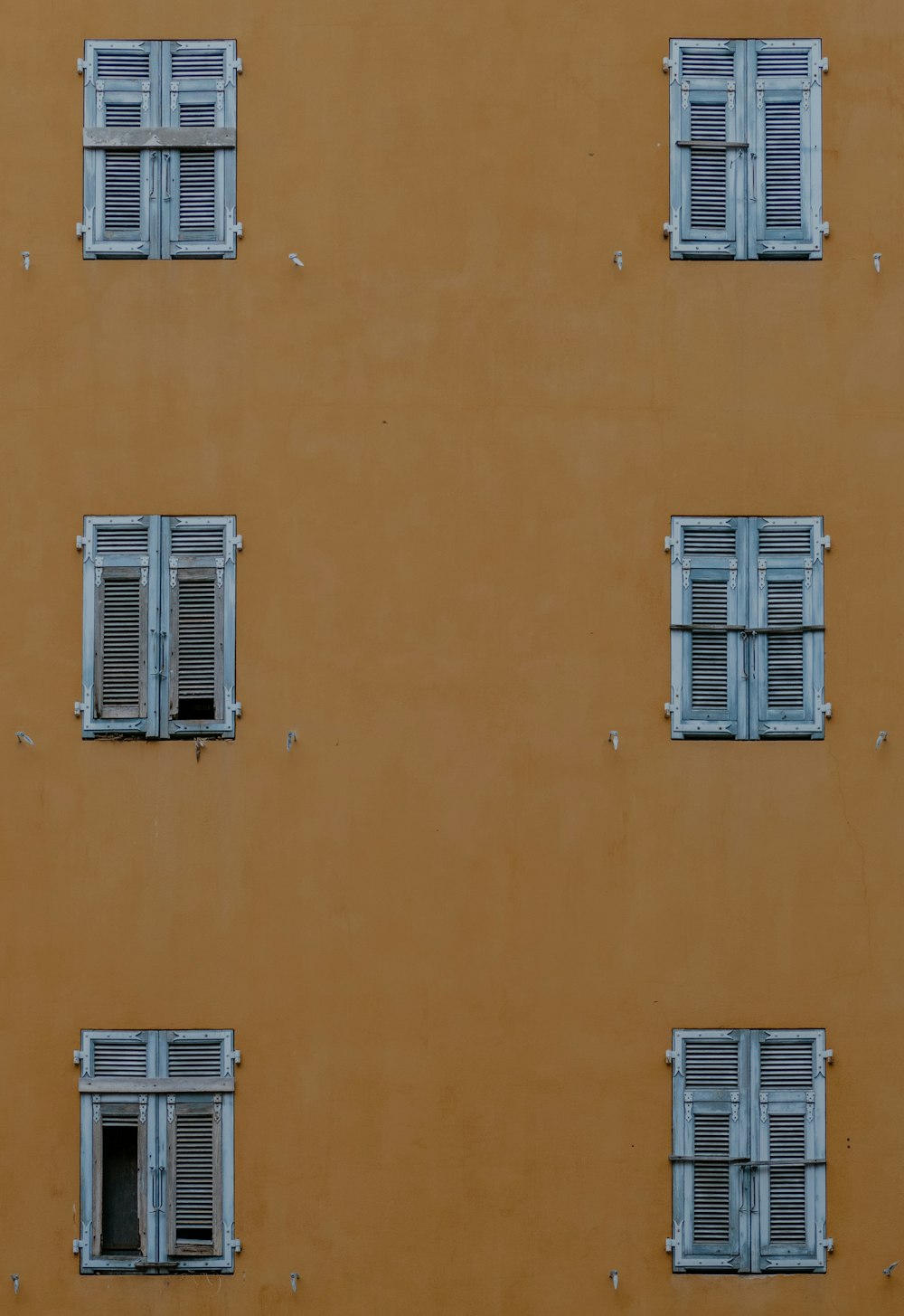 a yellow building with four windows and a bird sitting in the window