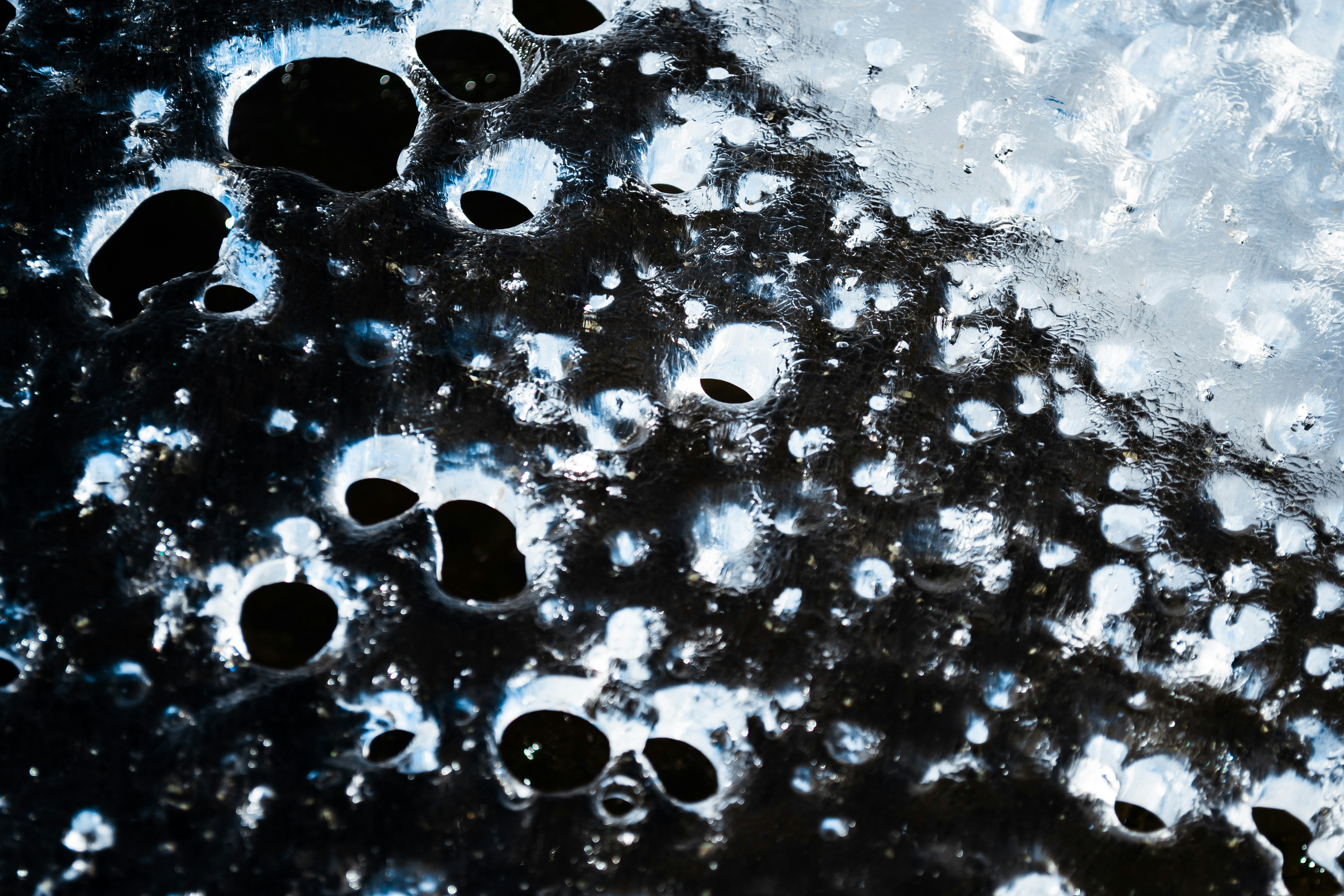 Photo by juliaelliot