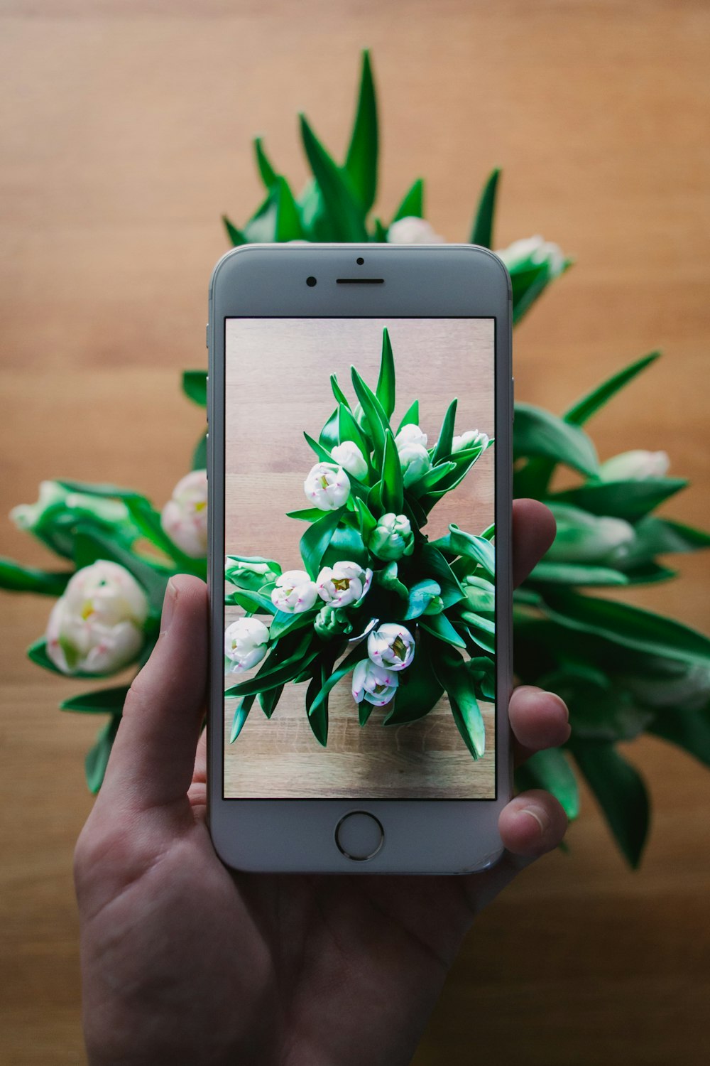 a person holding a cell phone with a picture of flowers on the screen