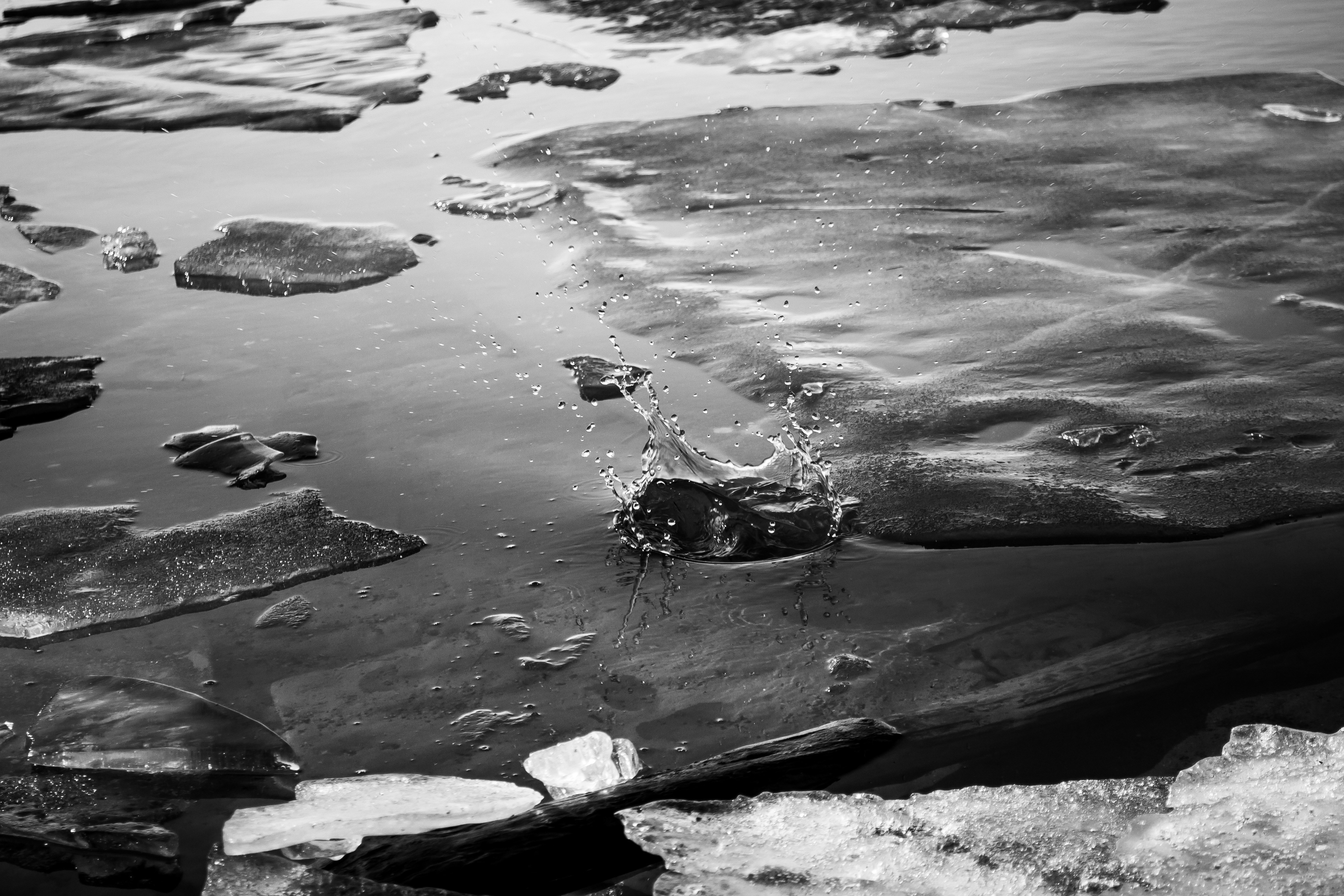 Photo by juliaelliot