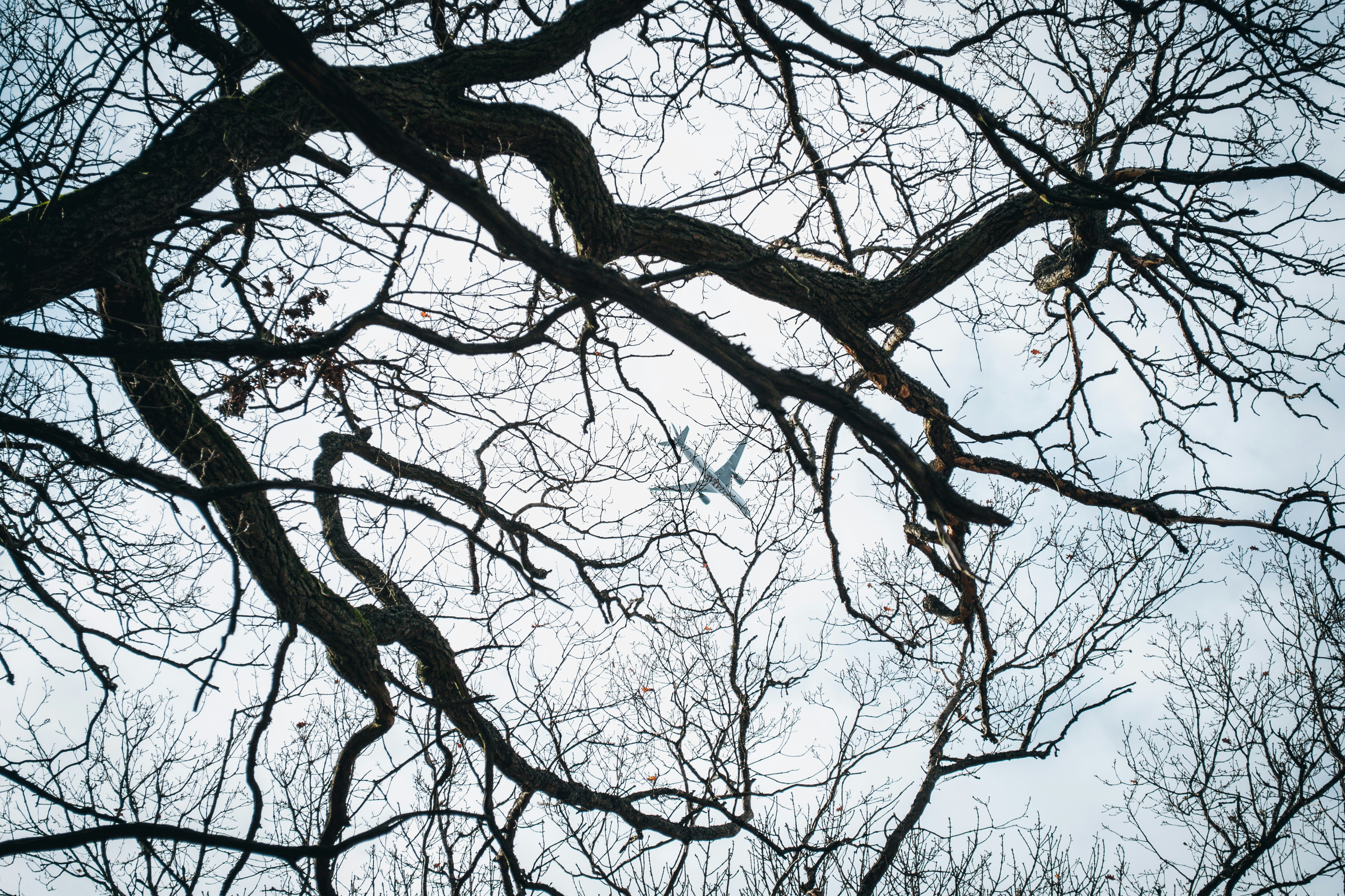 Photo by juliaelliot