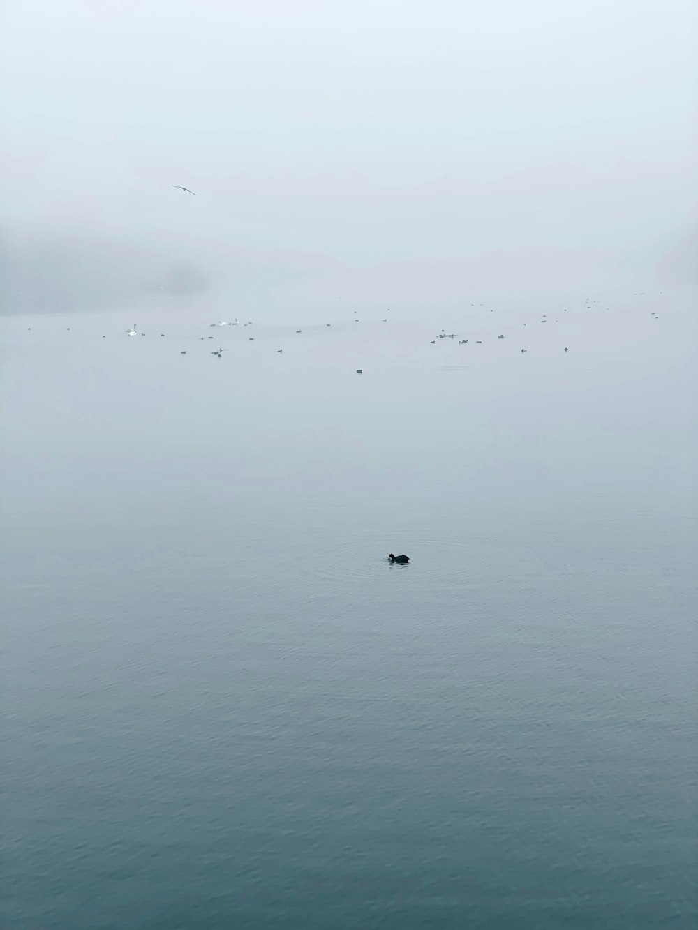 a large body of water with birds flying over it
