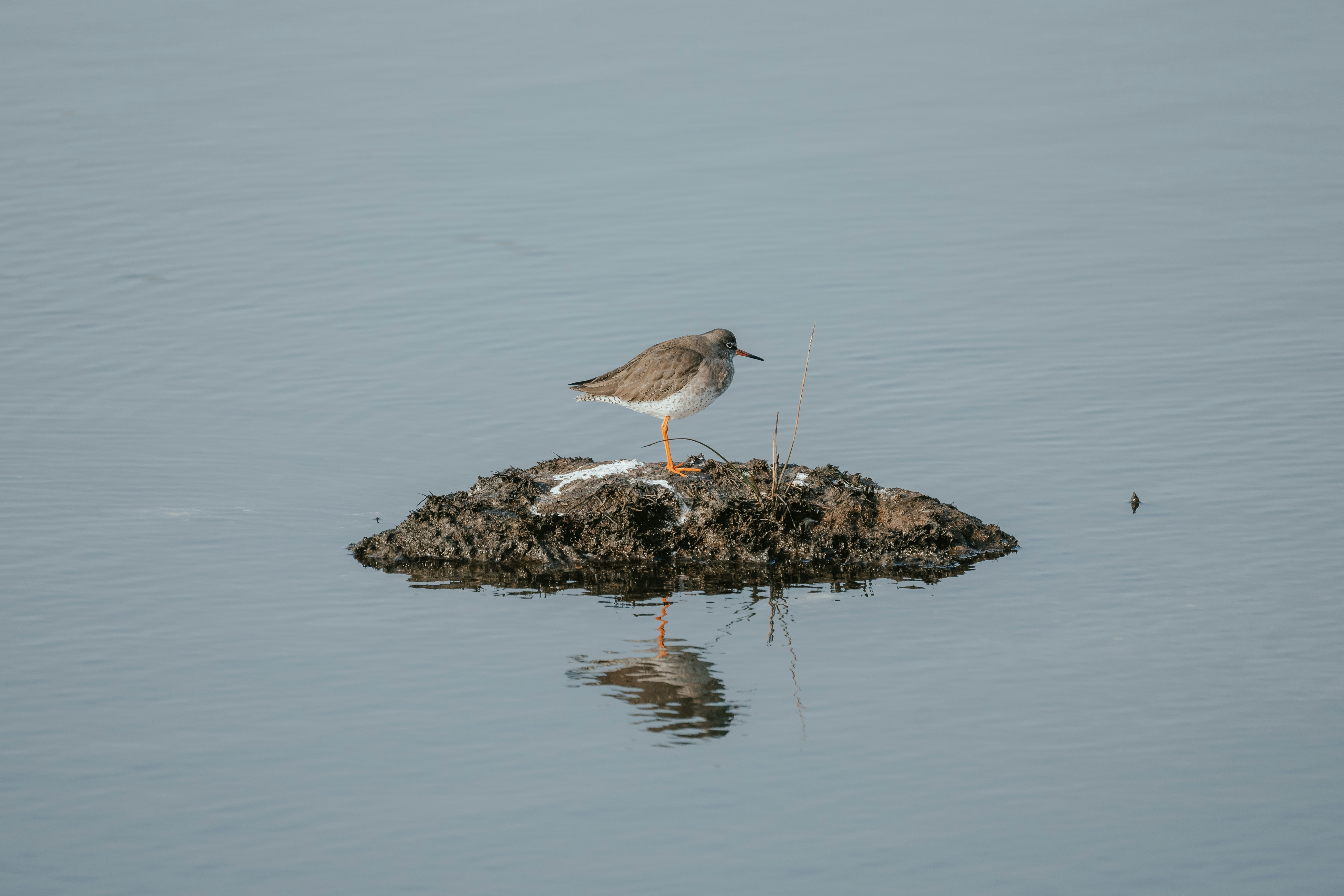 Photo by anniespratt