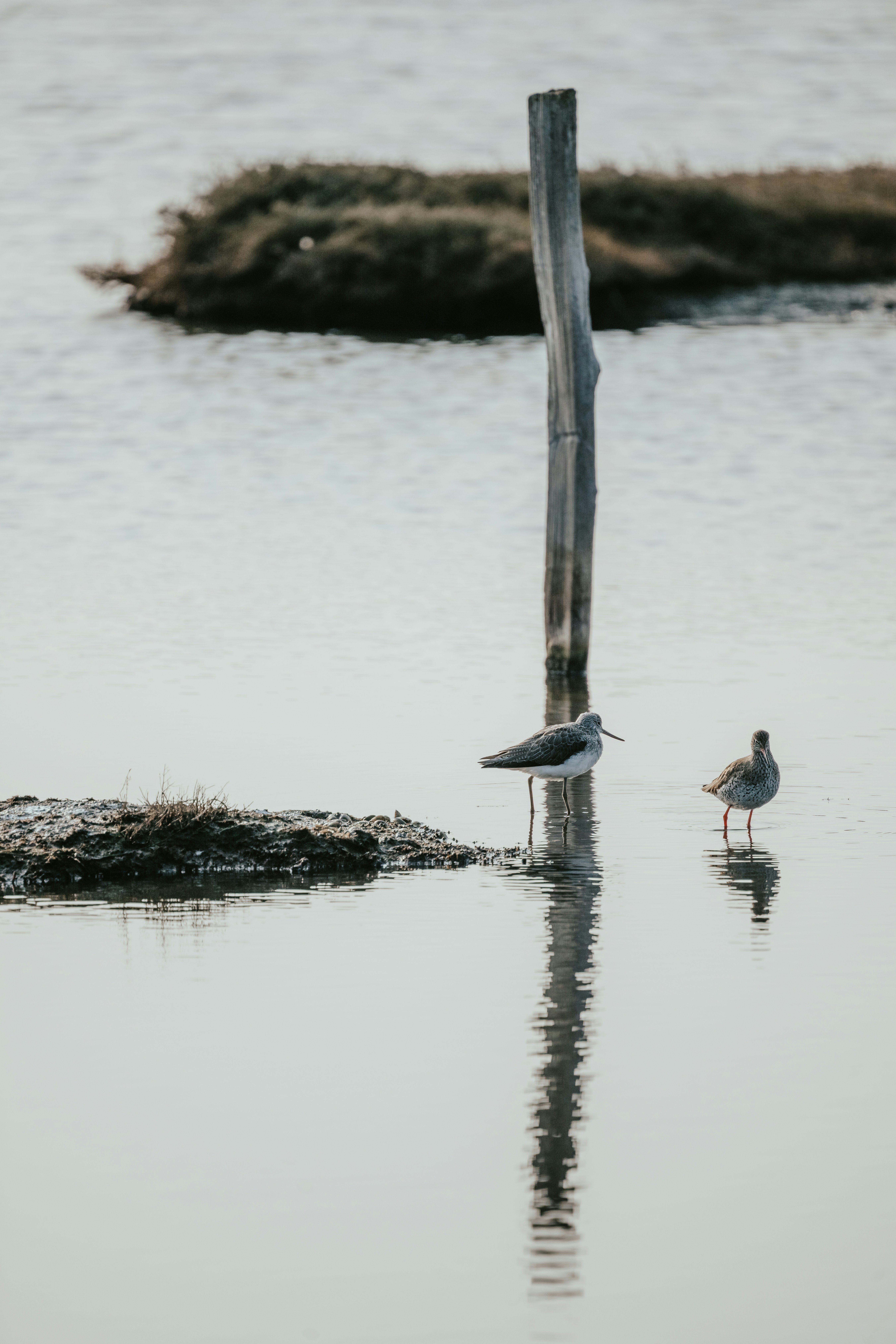 Photo by anniespratt