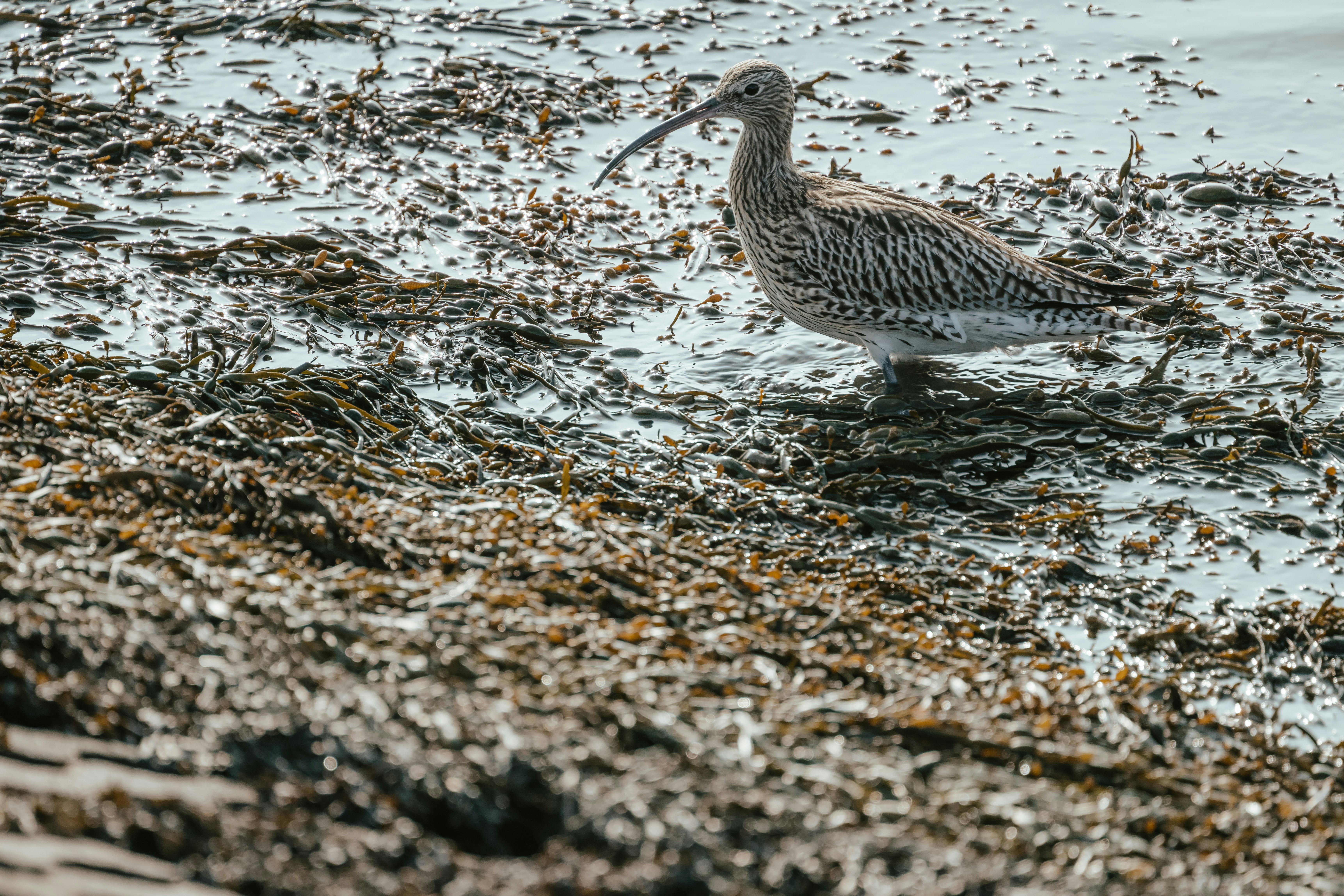 Photo by anniespratt