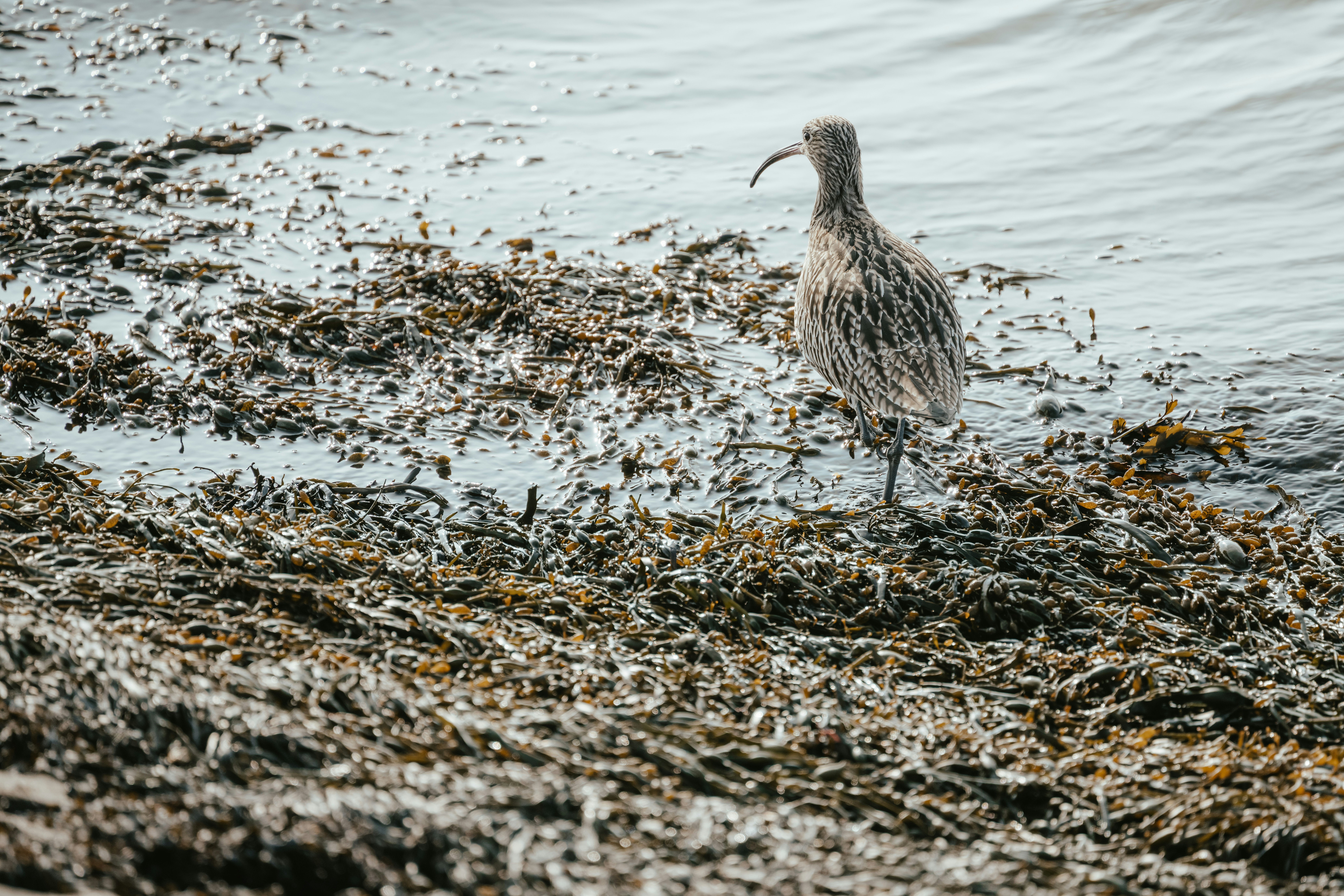 Photo by anniespratt