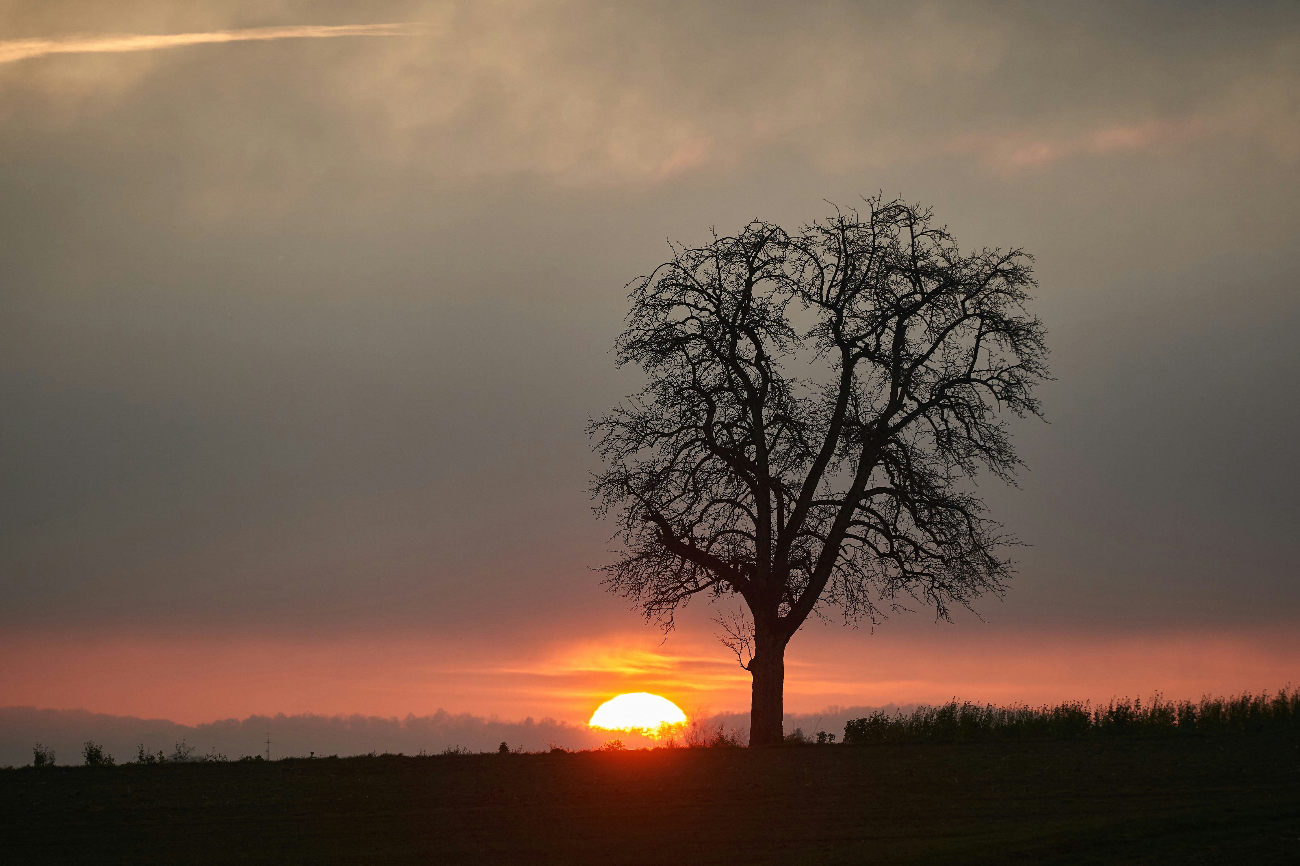 Photo by wolfgang_hasselmann