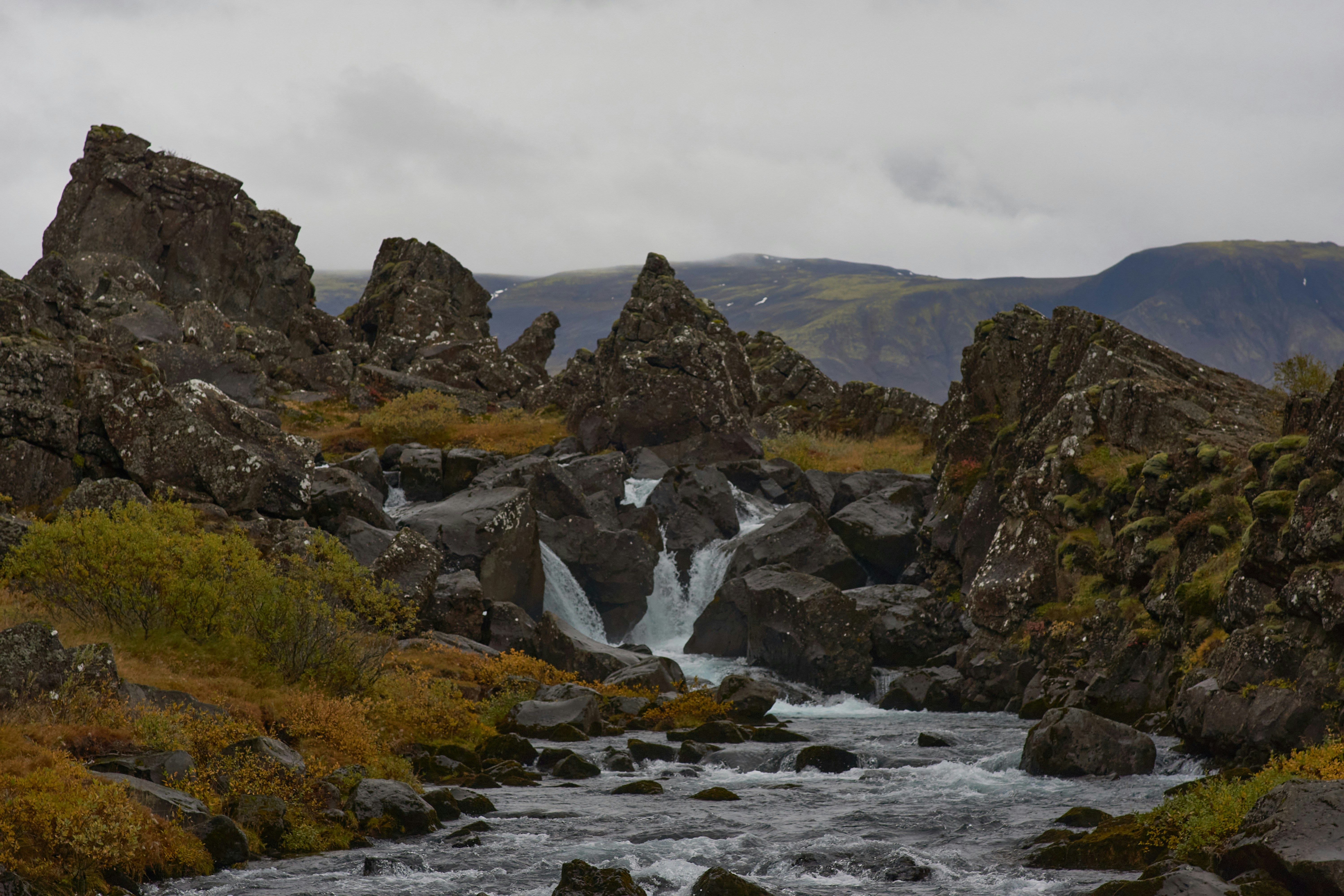 Photo by wolfgang_hasselmann