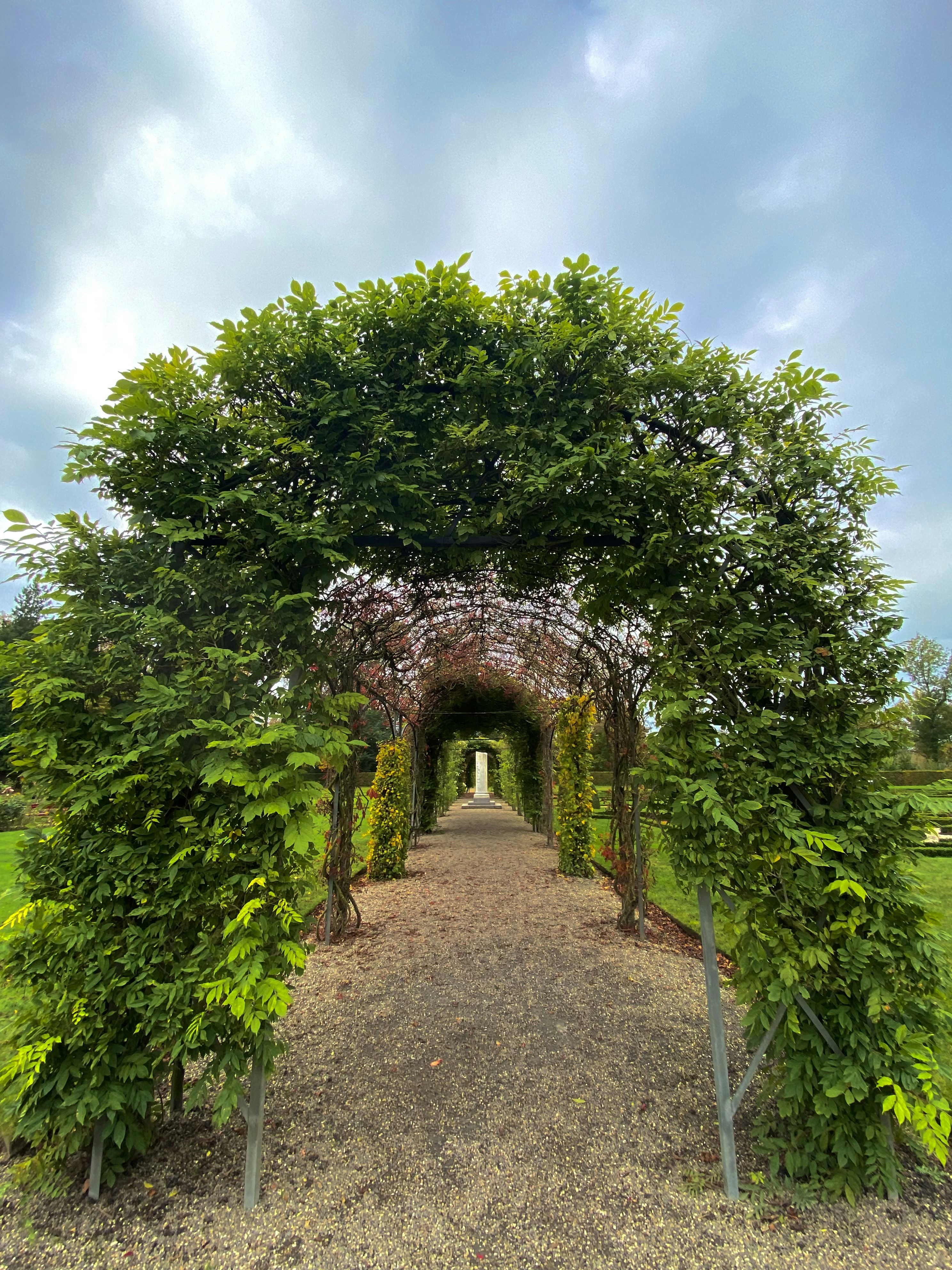 Photo by vinitababani