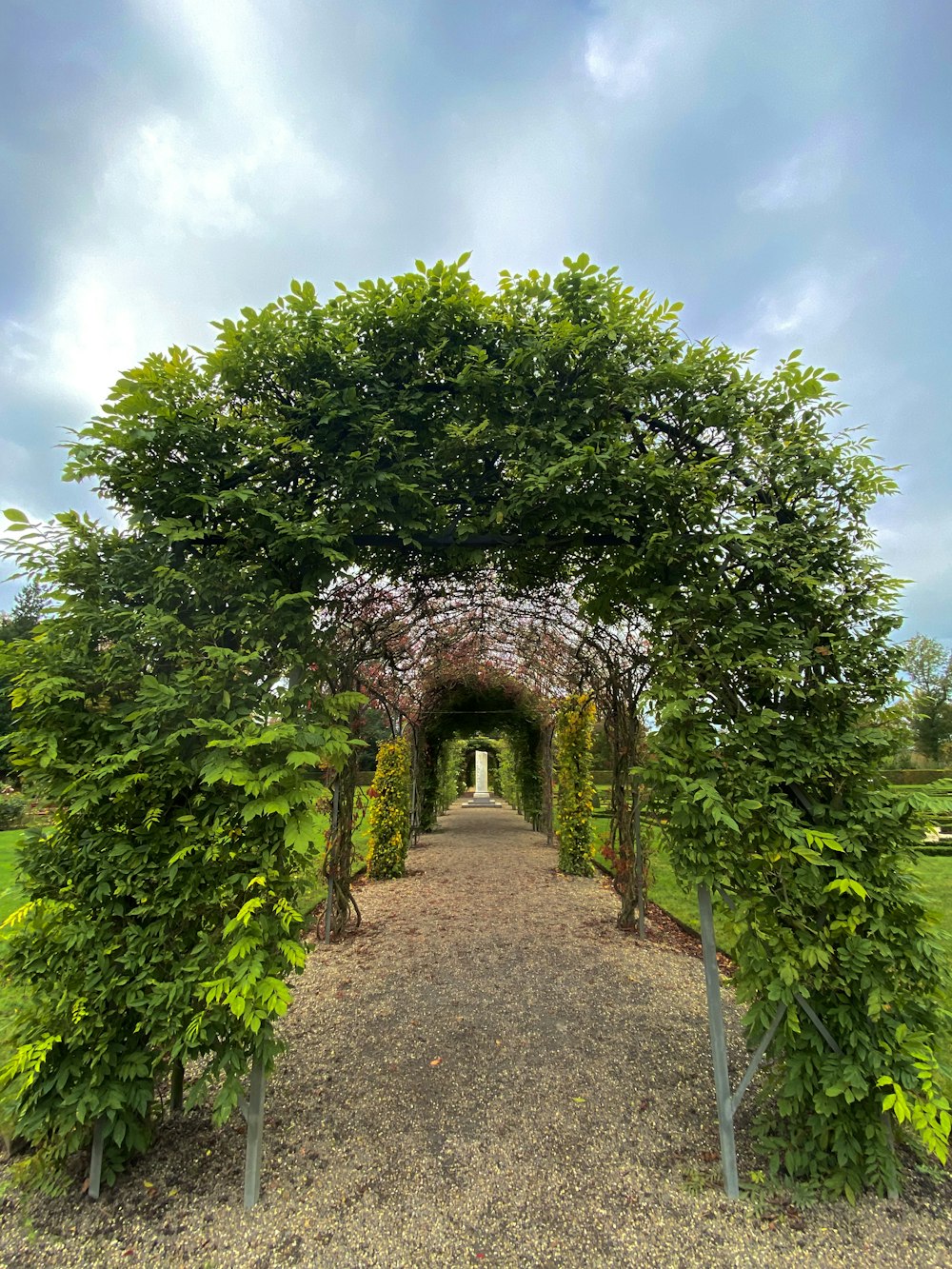 Un sentier bordé d’arbres et de buissons sous un ciel nuageux