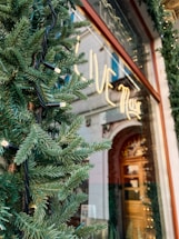 Green fir branches with string lights wrap around the entrance of a building, which has a glass facade. A sign with 'LIVE' in large letters is visible through the glass, possibly part of the phrase 'LIVE music'. The building features an ornate wooden door.