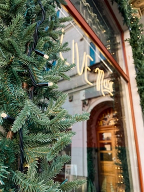 Green fir branches with string lights wrap around the entrance of a building, which has a glass facade. A sign with 'LIVE' in large letters is visible through the glass, possibly part of the phrase 'LIVE music'. The building features an ornate wooden door.
