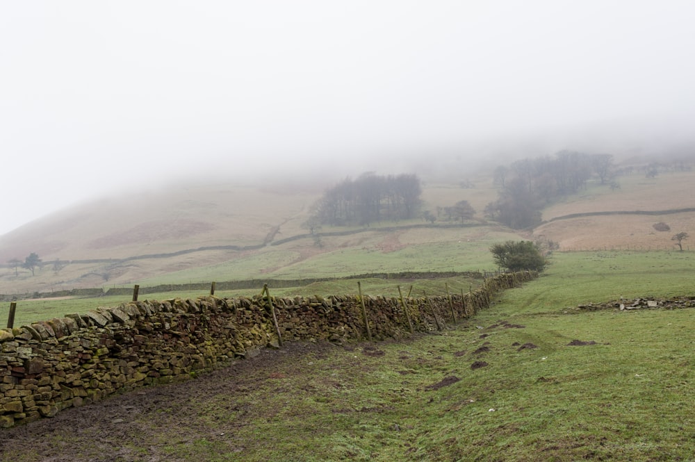 a field with a stone wall and sheep grazing on the grass