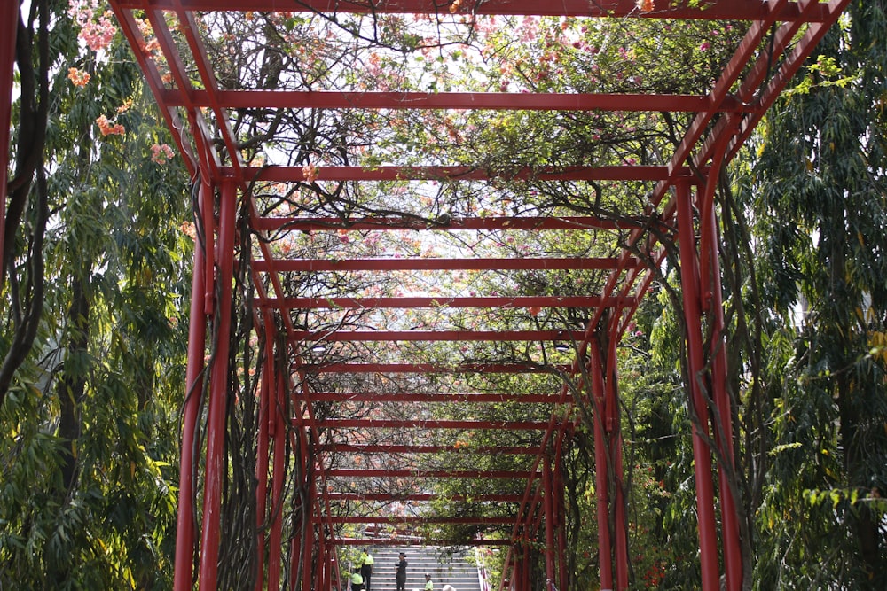 a red walkway lined with trees and benches