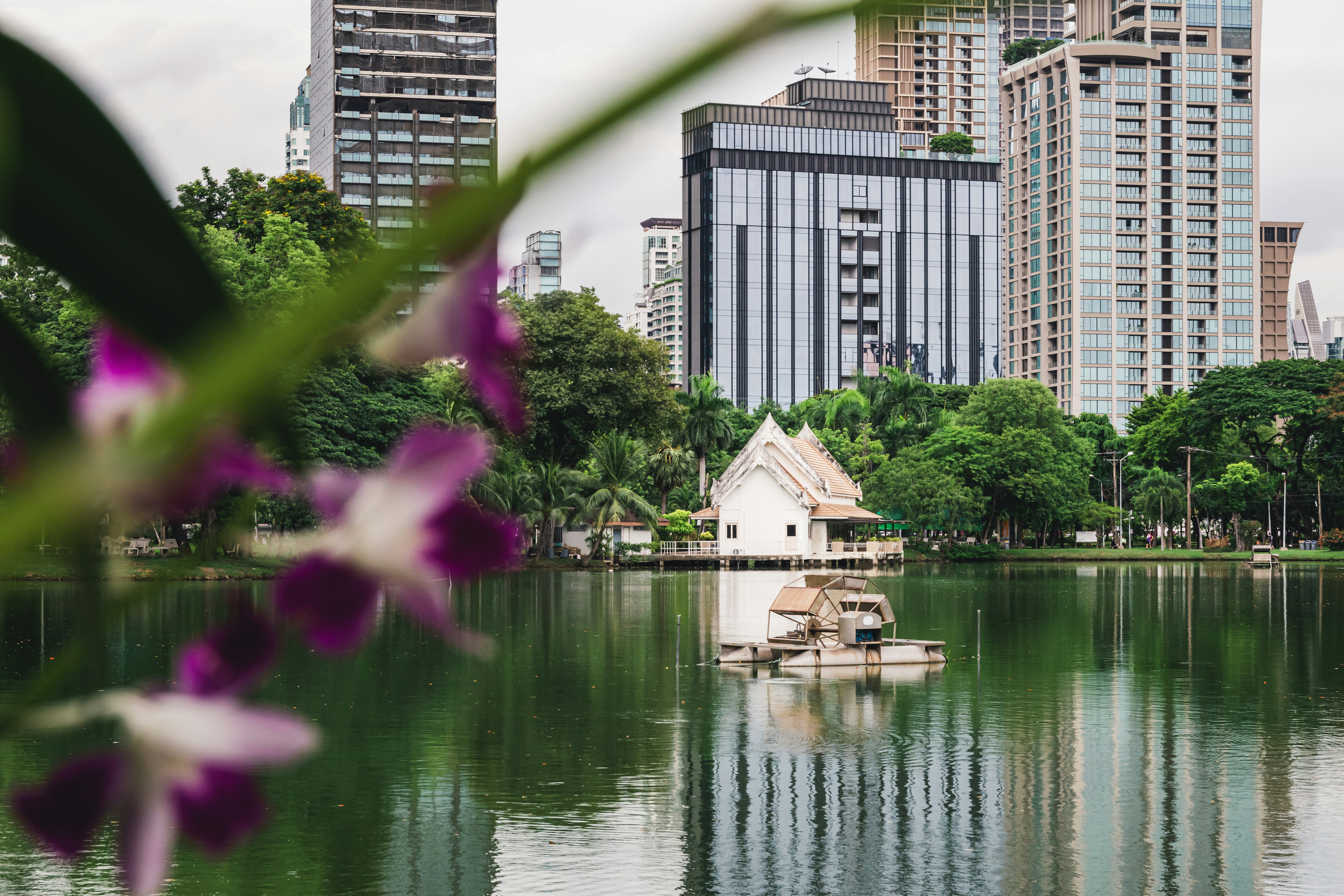 a lake surrounded by tall buildings in a city, 