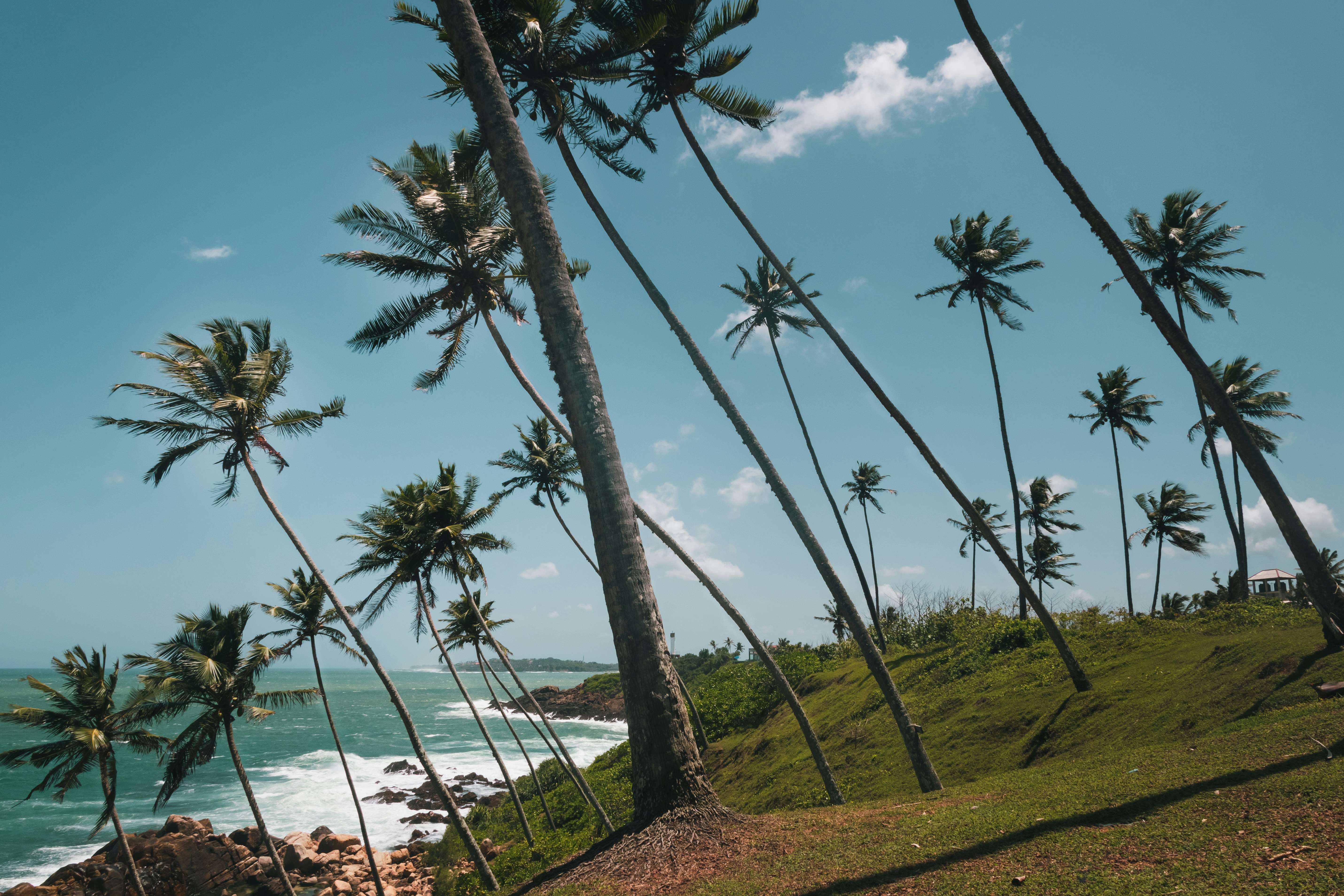 Photo by mgarchagudashvili