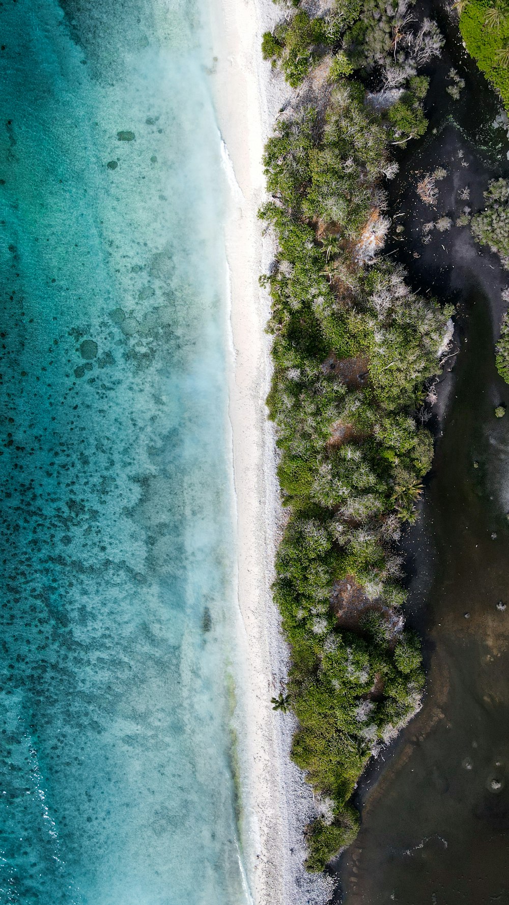 an aerial view of a beach and a body of water