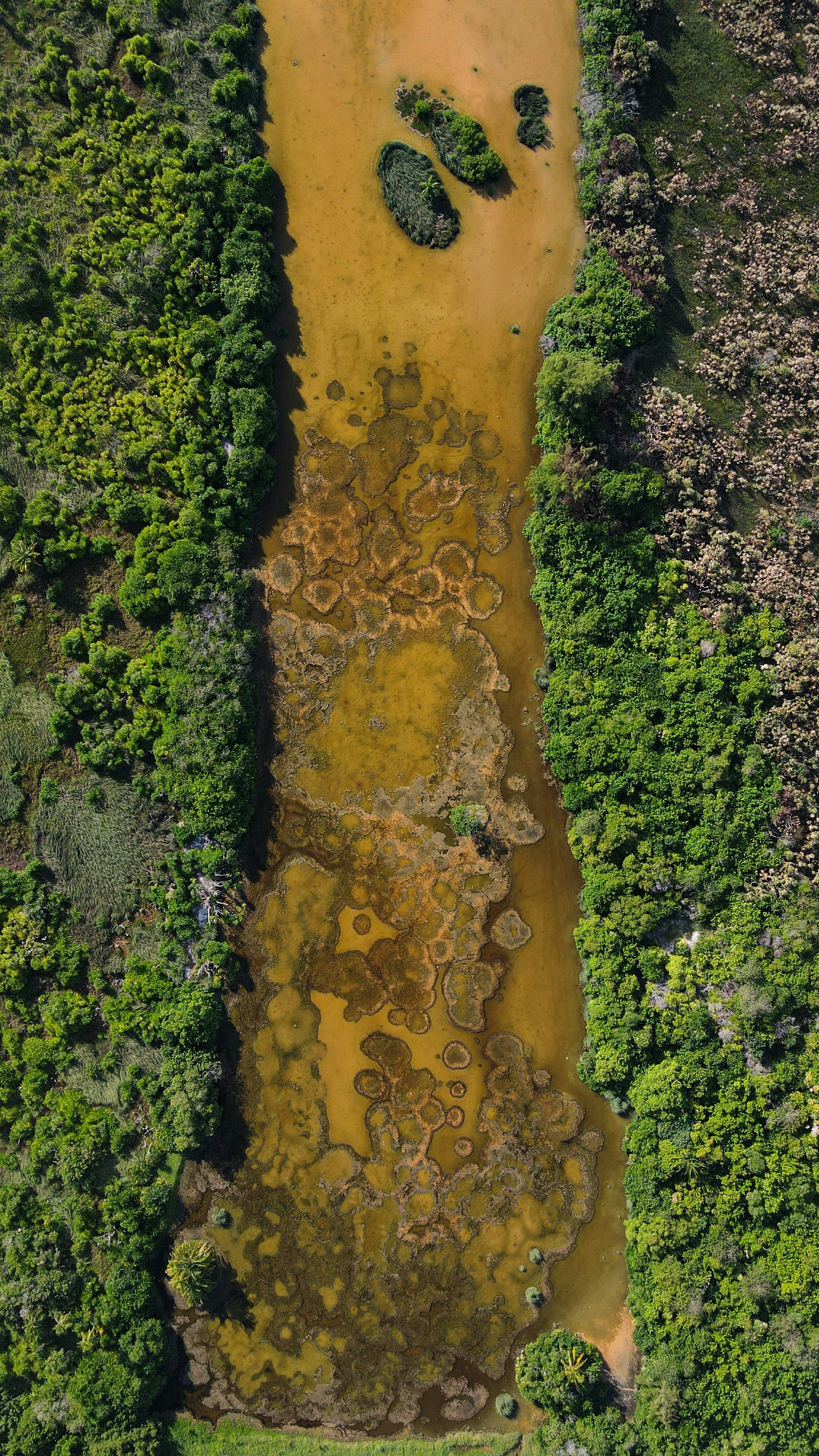 Photo by shadesoftropical