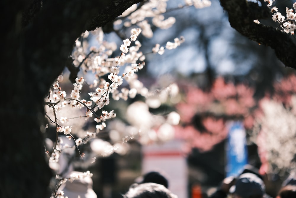 a group of people walking down a street next to a tree