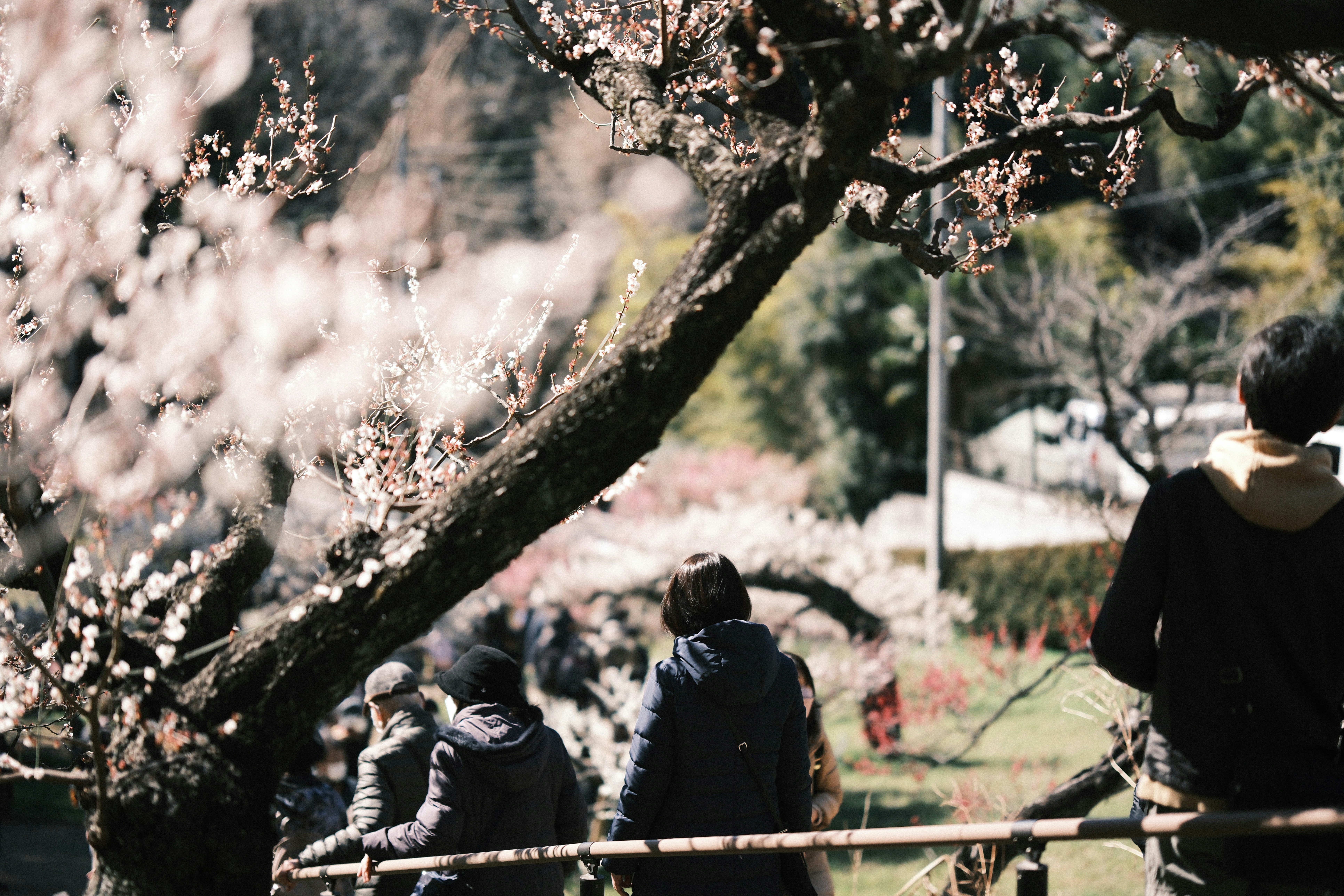 Photo by ultratunafish