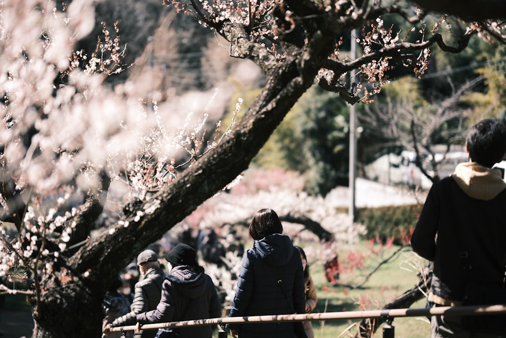 a group of people standing next to each other near a tree