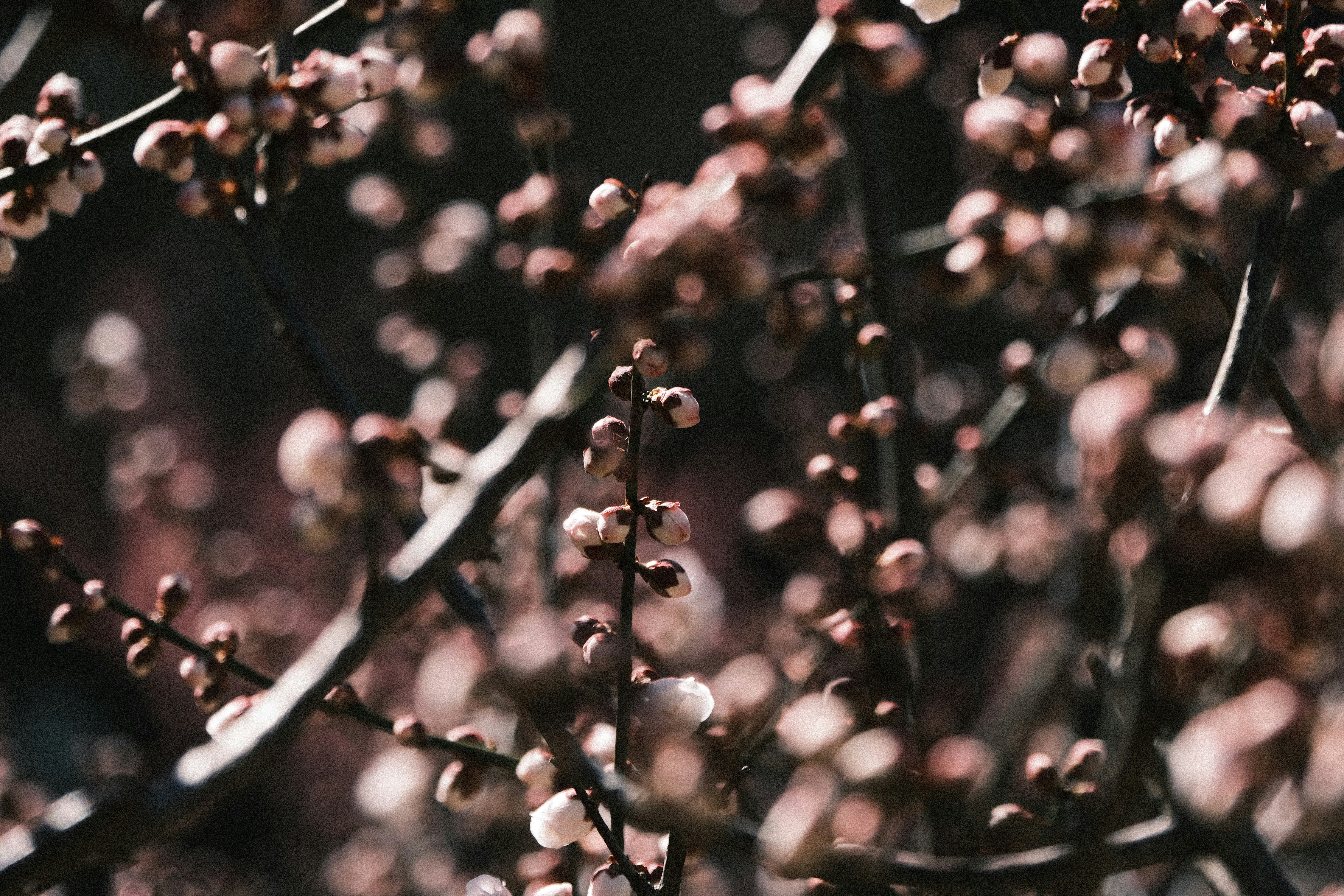 Photo by ultratunafish