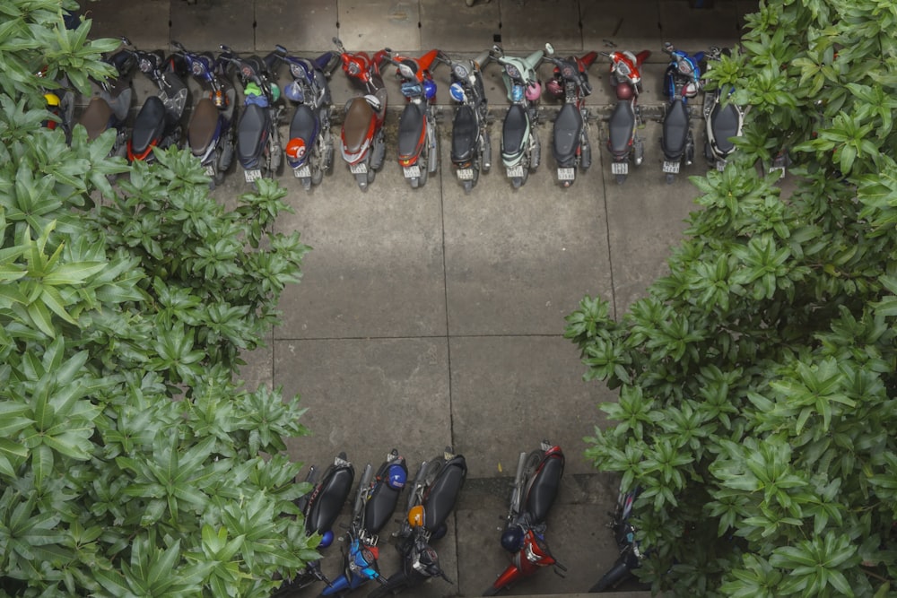a group of motorbikes are lined up in a row