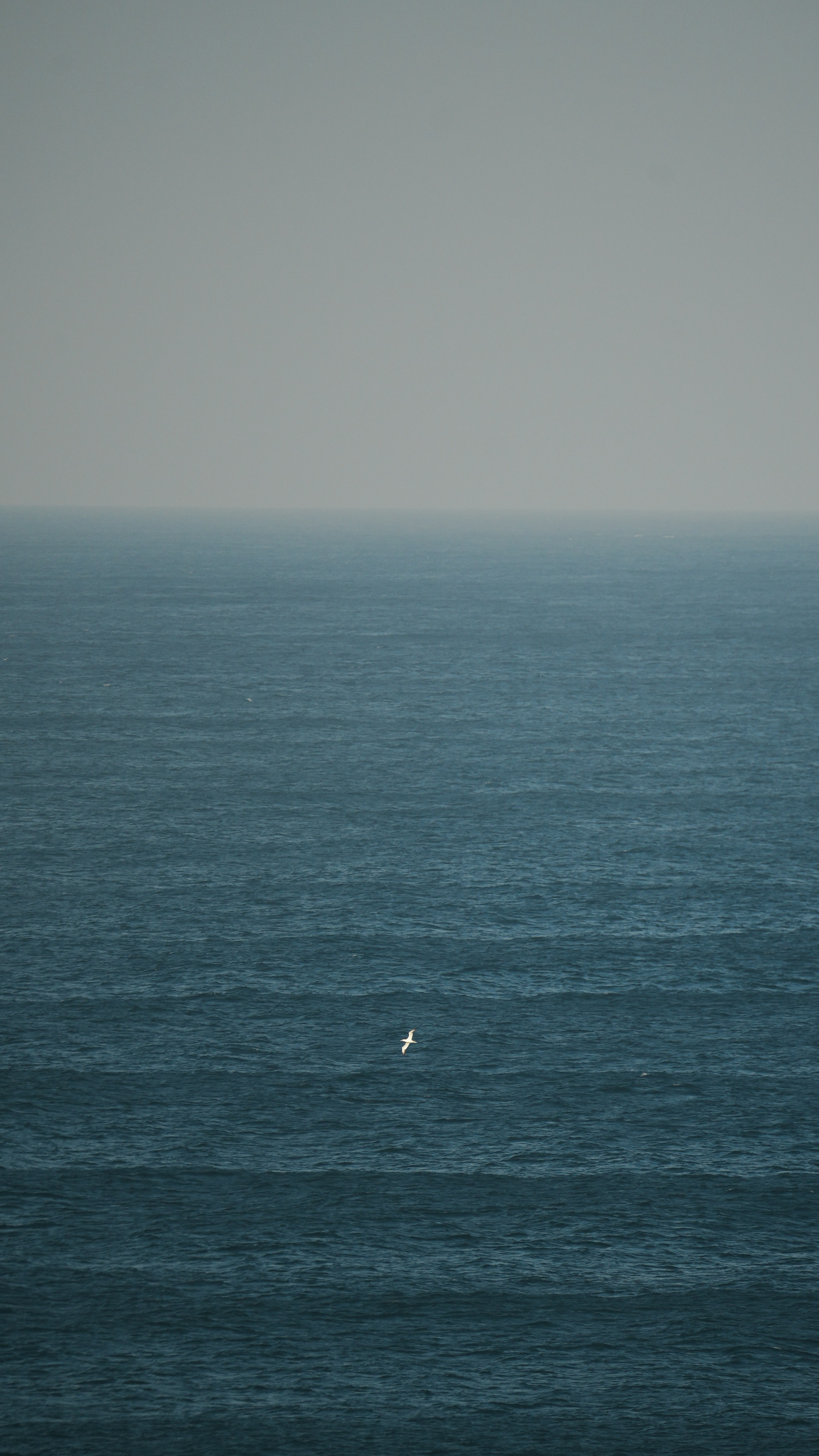 Photo by tinorischawy