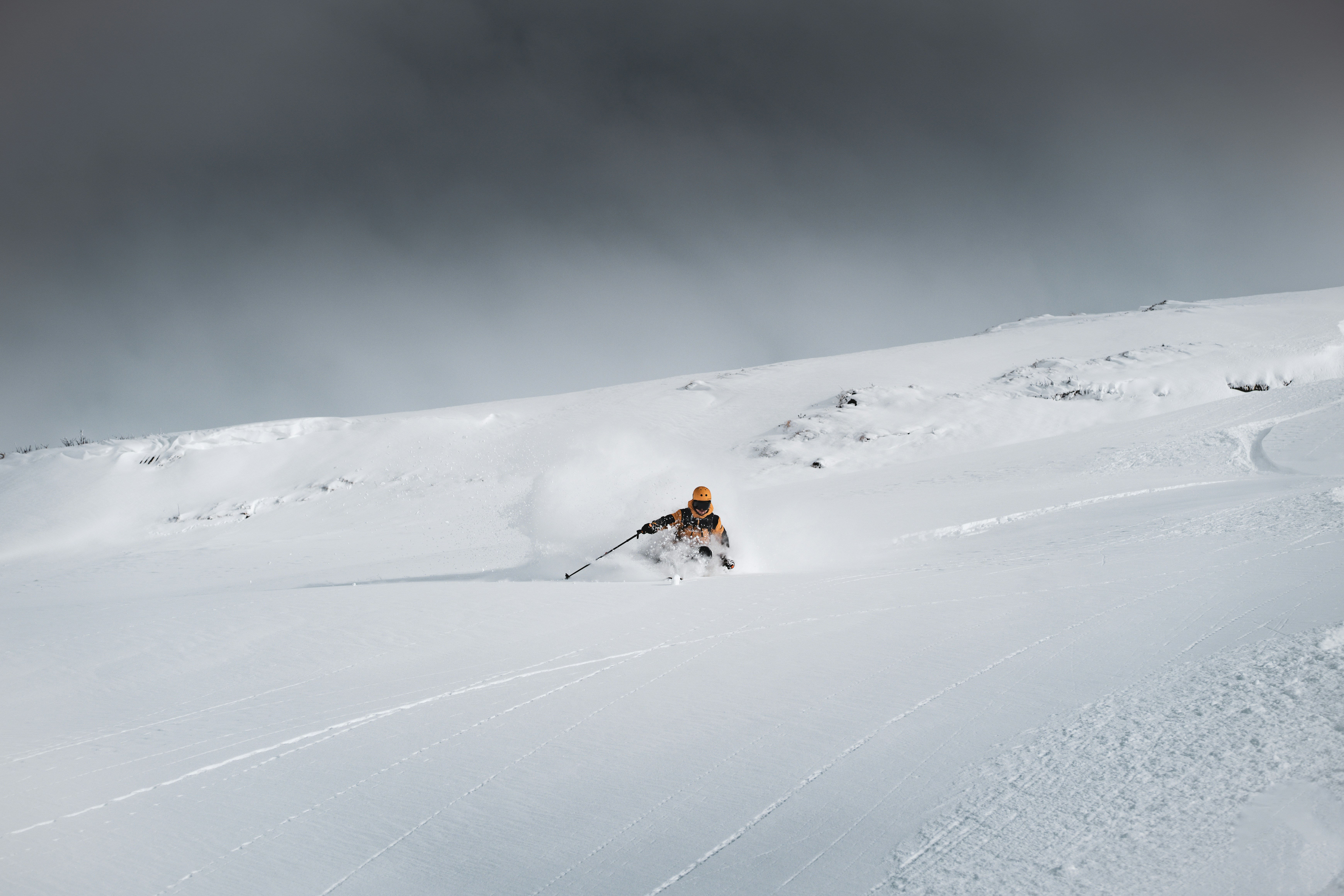 Photo by tinorischawy