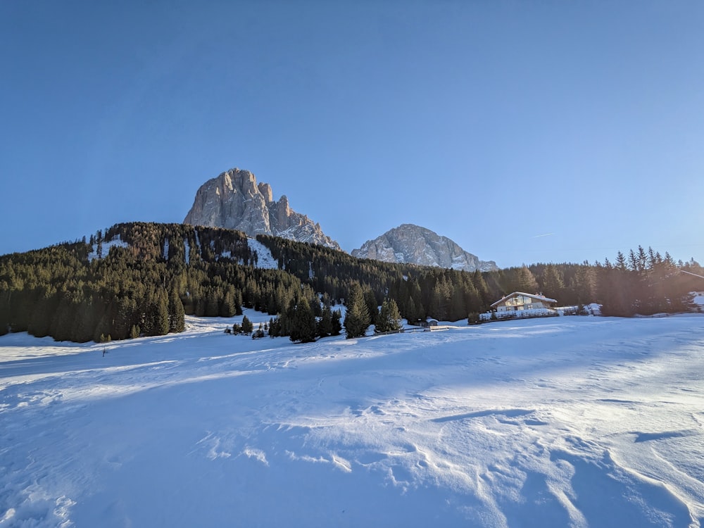 ein schneebedeckter Berg mit Bäumen im Vordergrund