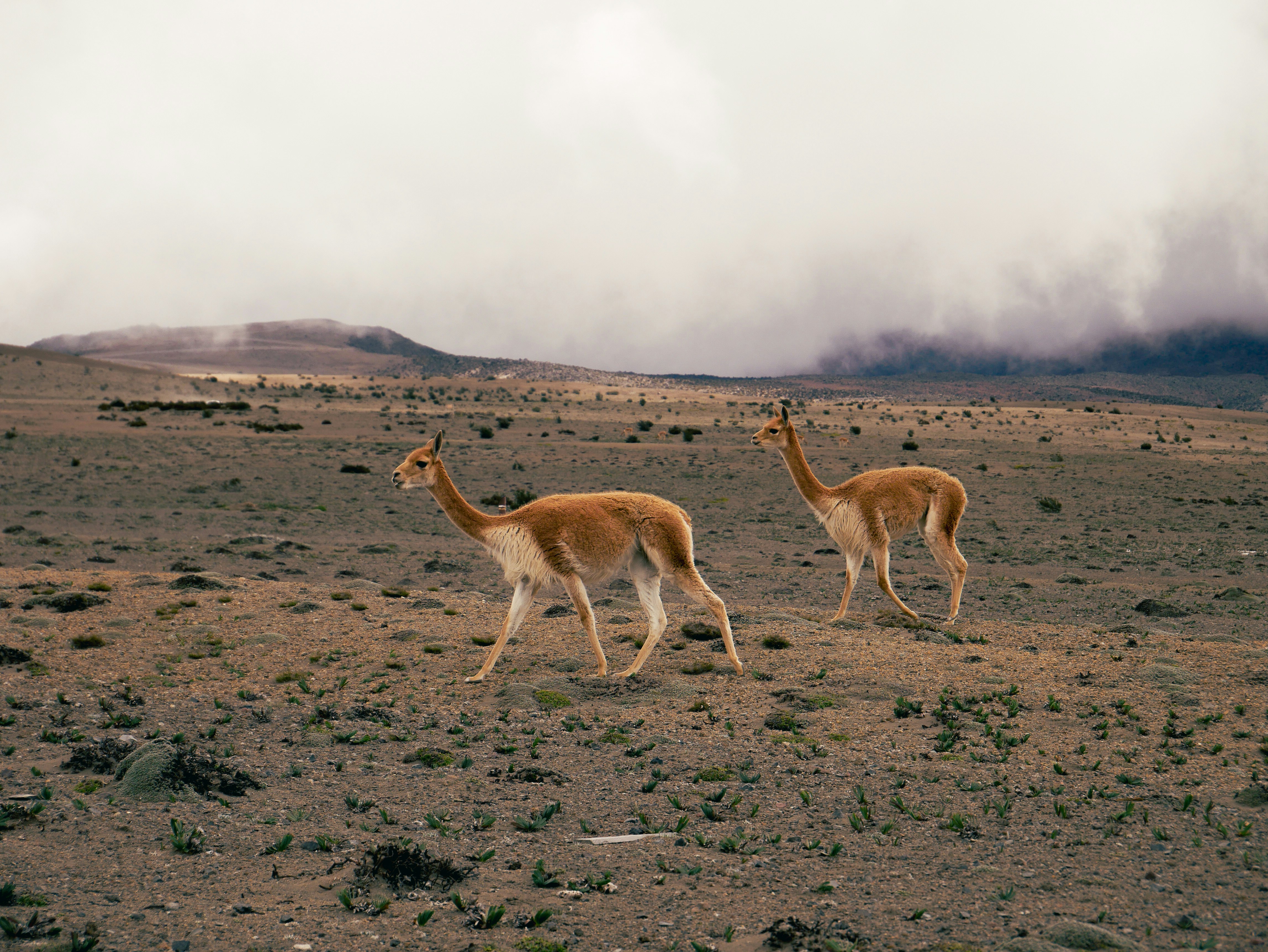 Photo by thefulnessthereof