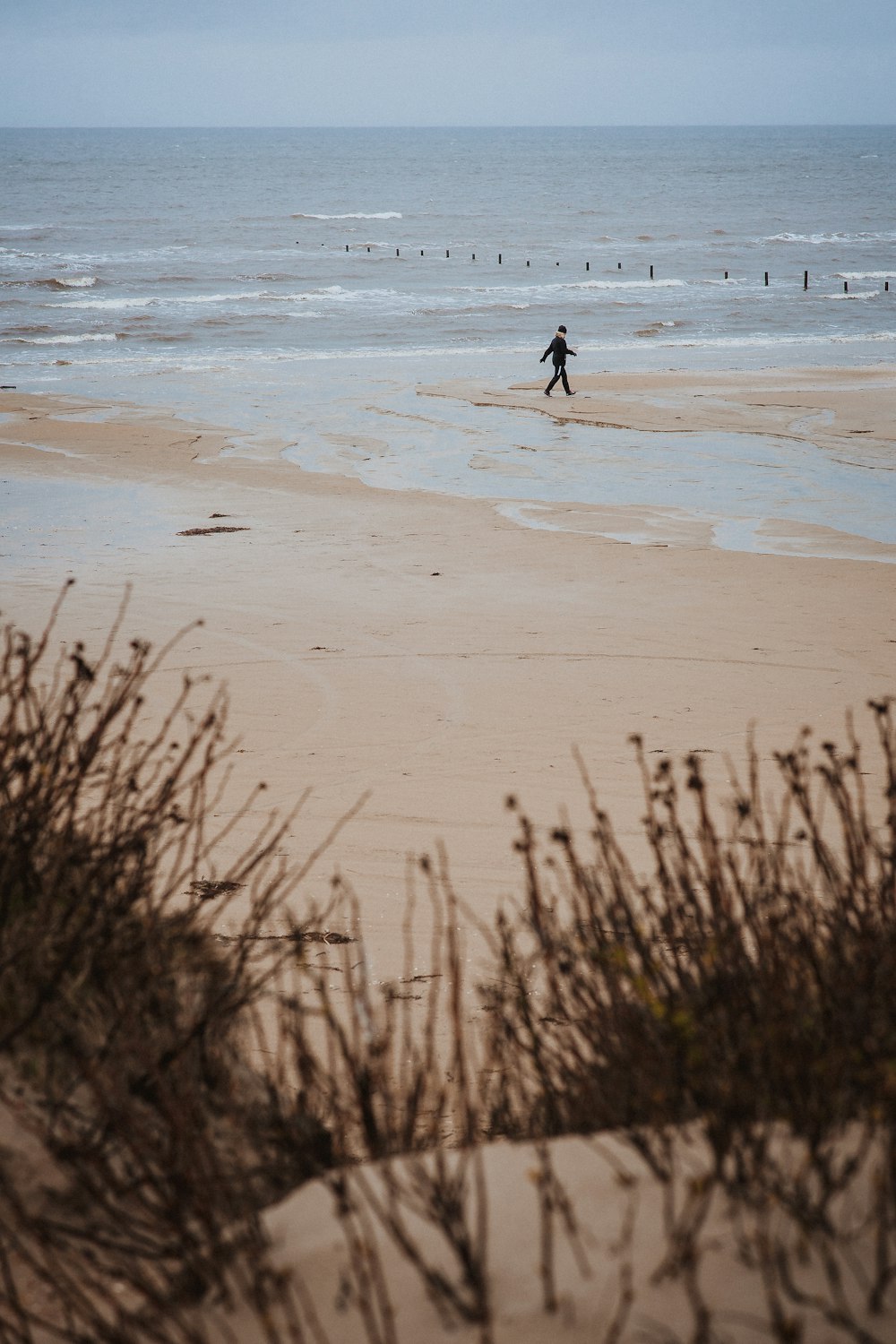 a person walking on a beach near the ocean