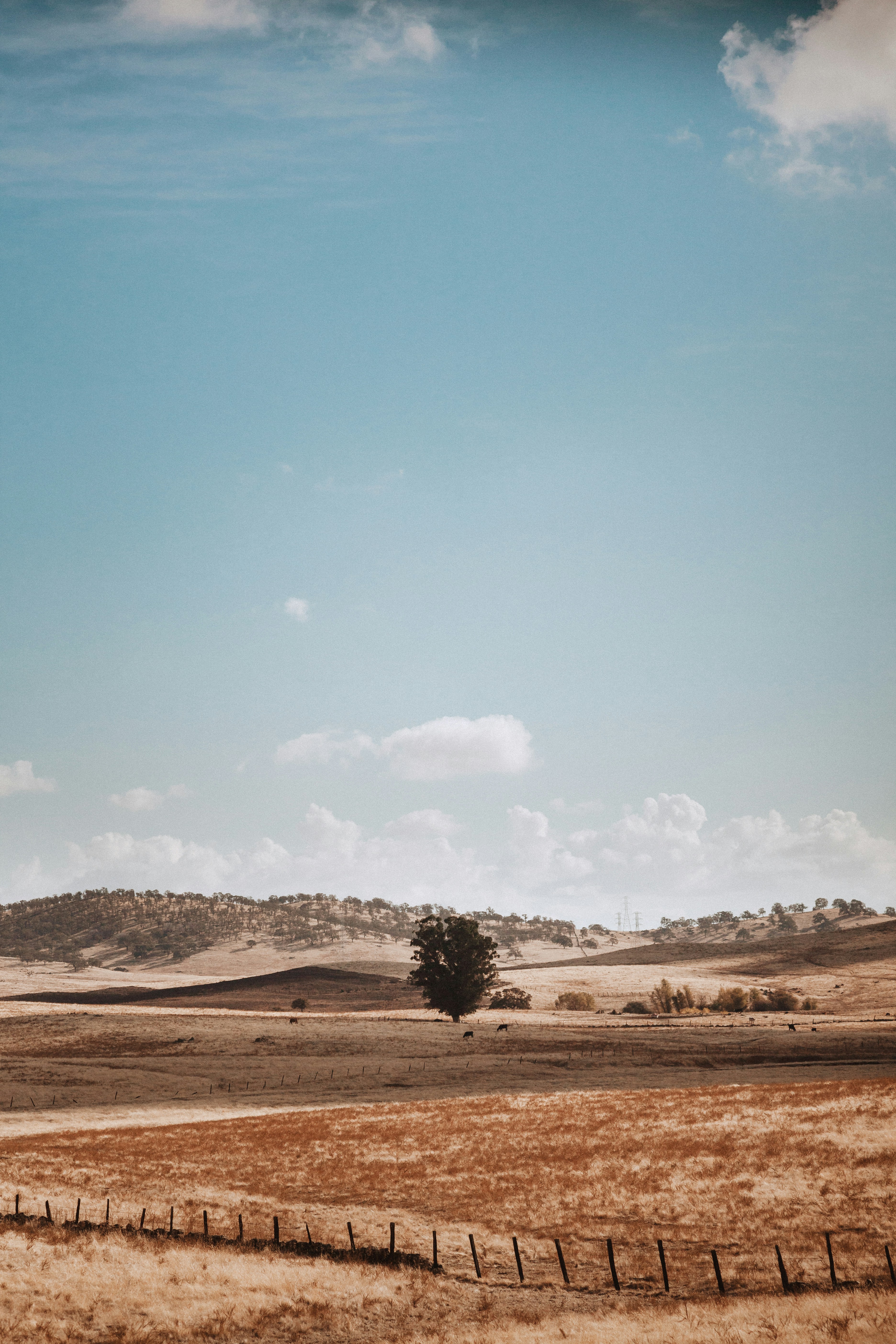 Photo by jakewarrenphotography