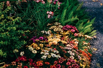 Куп цветя сред тревата