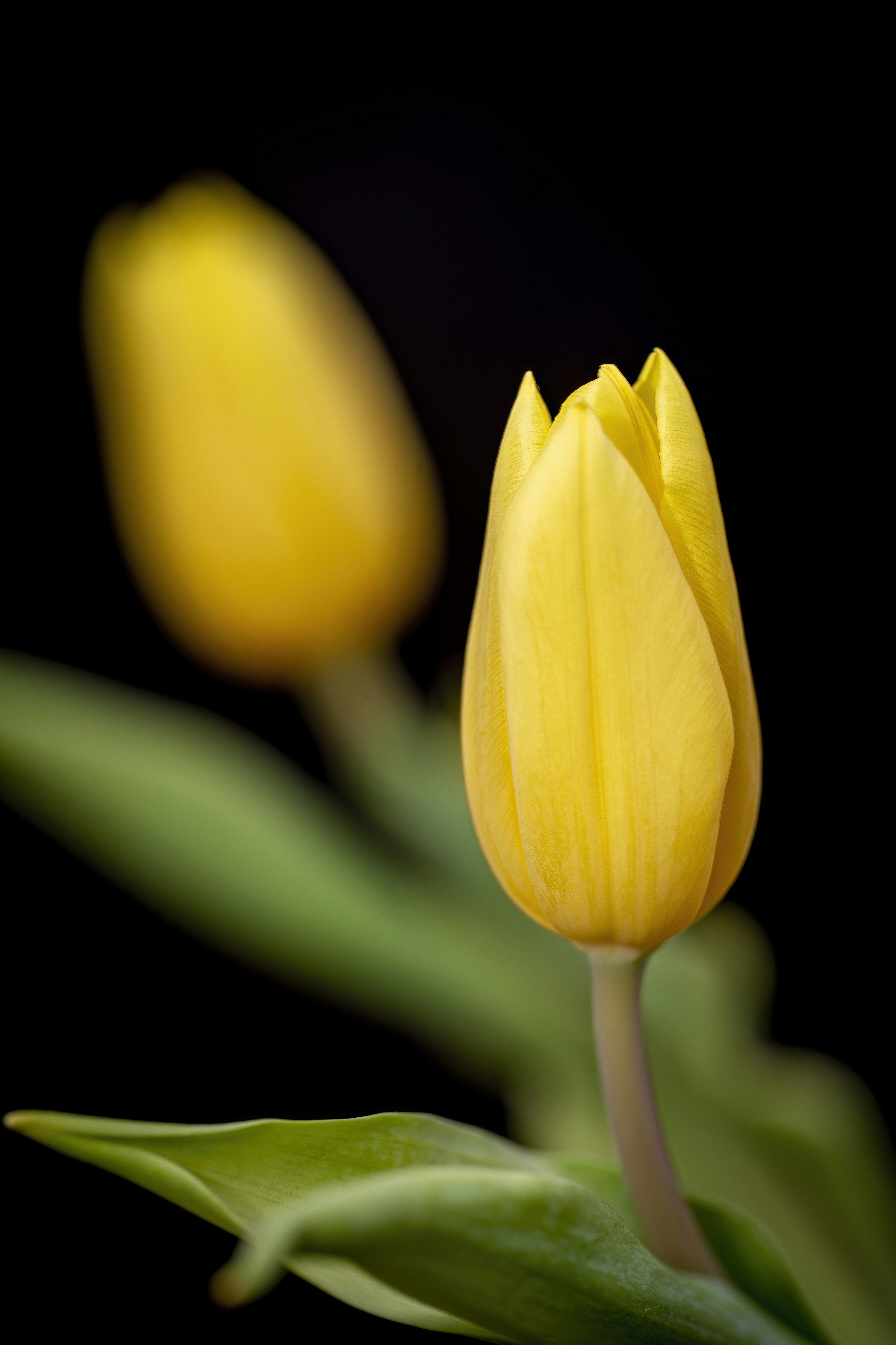 Photo by ovidiugruescu