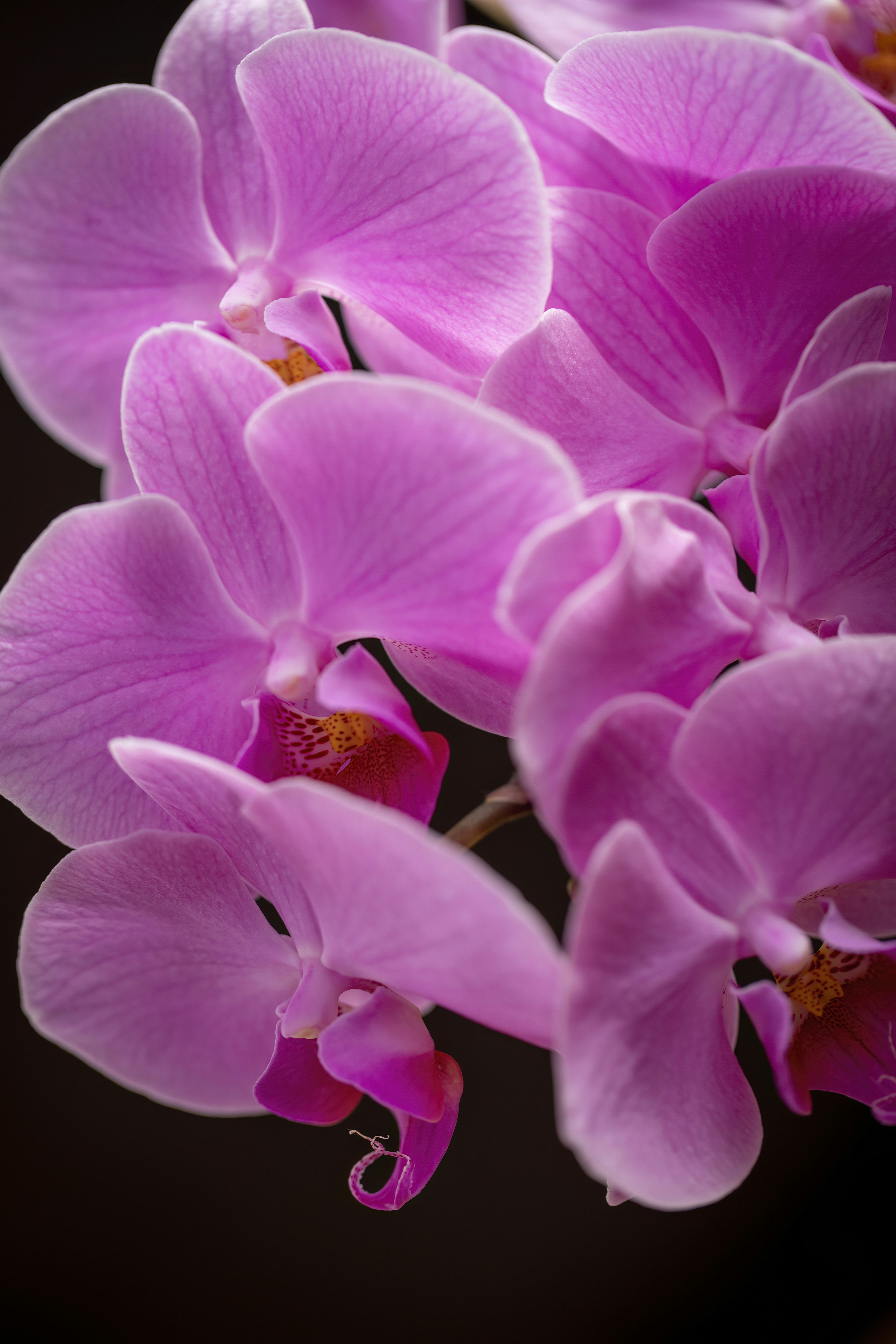 Photo by ovidiugruescu