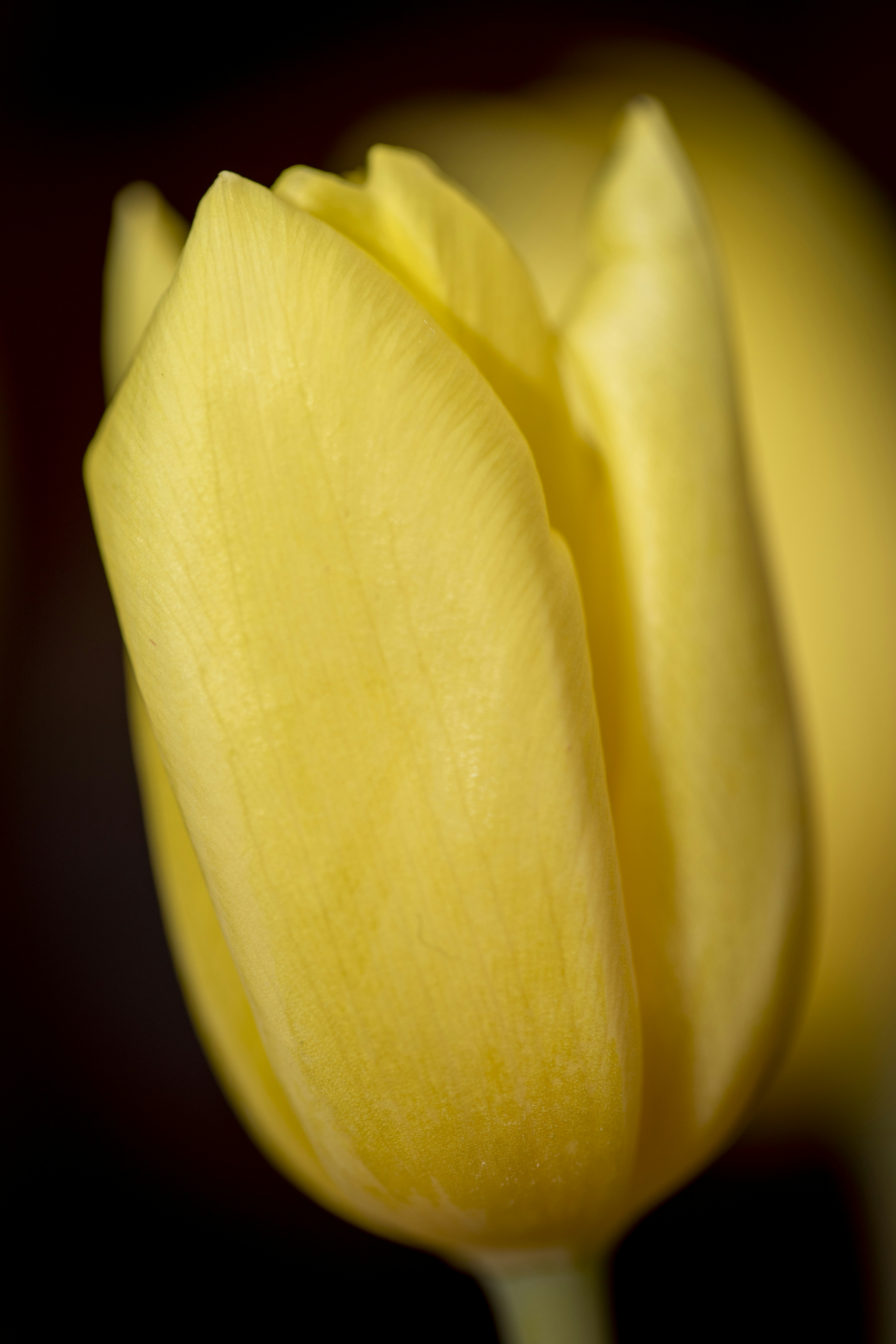 Photo by ovidiugruescu