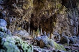 A natural cave scene featuring stalagmites rising from the rocky floor, with rough, textured stone surfaces on the walls and ceiling. The cave's interior is dimly lit, highlighting the details of the rock formations and creating a sense of depth.