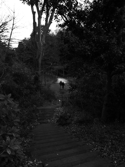 Black-and-white analog photograph by Somerled showing a misty forest path in early morning light