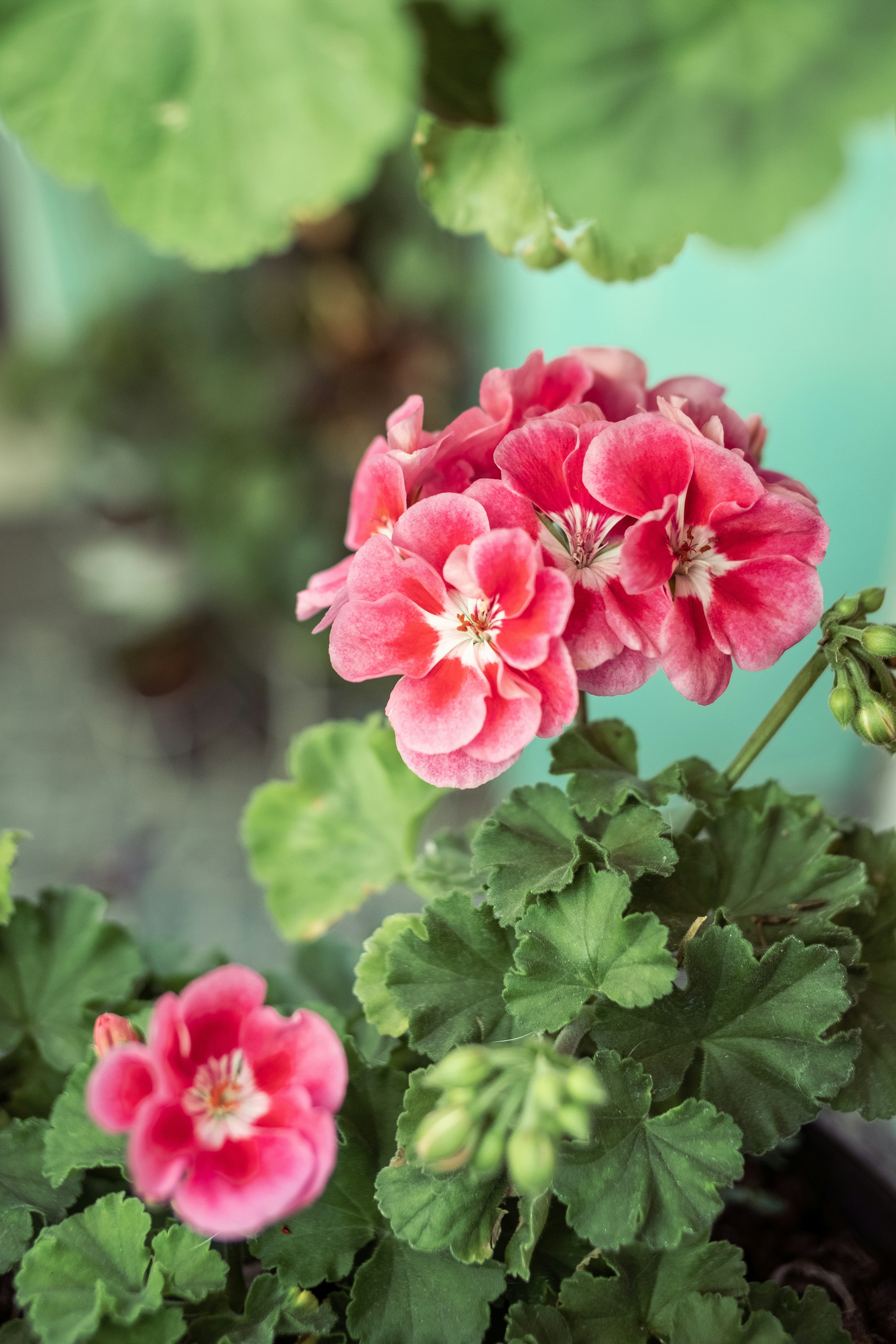 Photo by alex_quezada