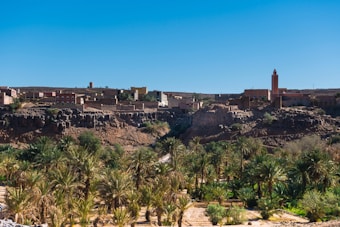 A desert landscape featuring a cluster of traditional buildings on a rocky plateau with a tall tower, surrounded by lush palm trees in the foreground and set against a clear blue sky.