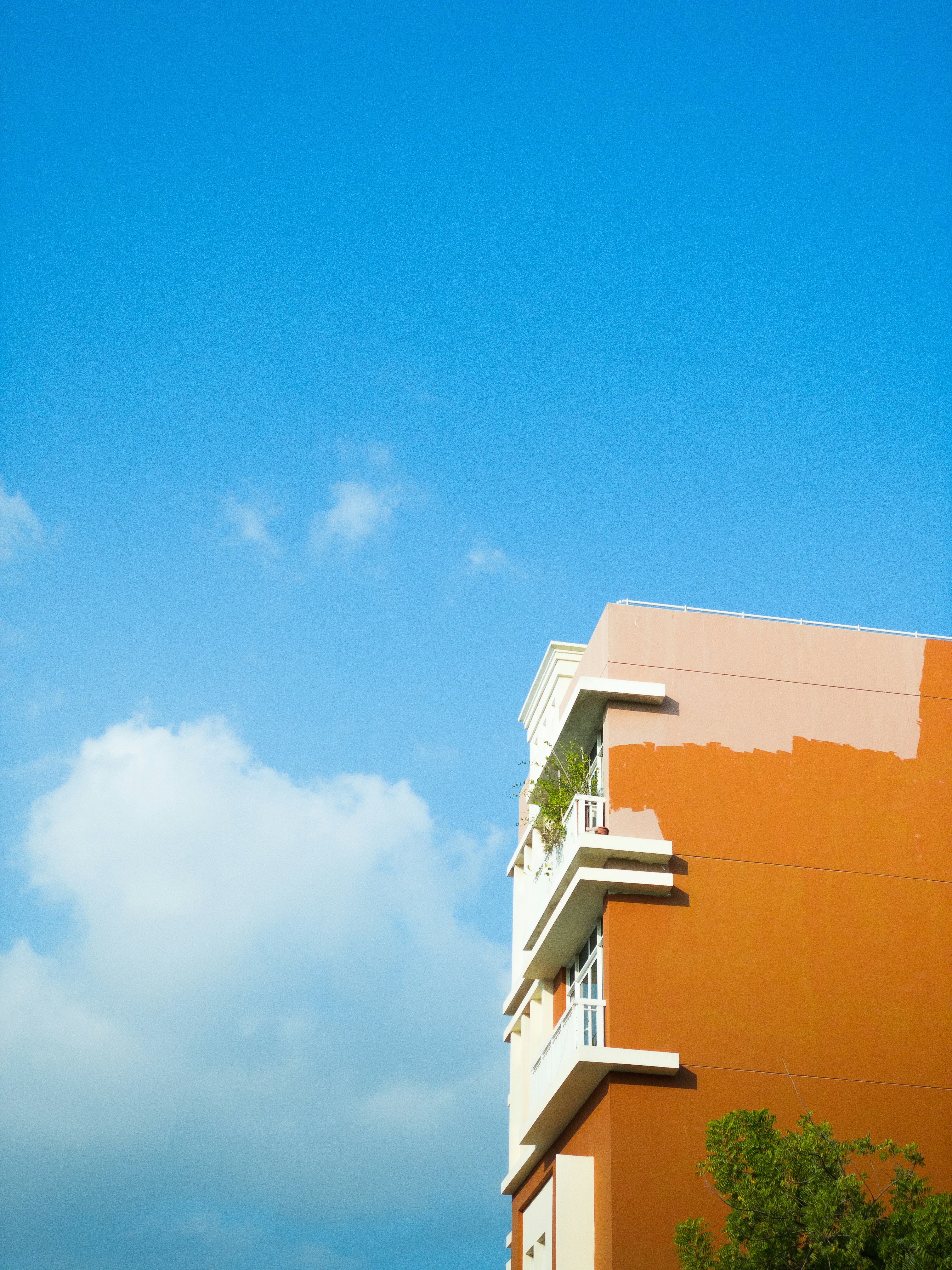 Photo by theboriginal