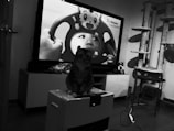 A room containing a television displaying a black and white image of a child holding a steering wheel toy with a cartoon face. In front of the television, a cat sits on top of a heater or similar appliance. To the right, there is a cat tree. Various objects such as a bag of snacks and a cable are scattered on the floor.
