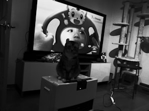 A room containing a television displaying a black and white image of a child holding a steering wheel toy with a cartoon face. In front of the television, a cat sits on top of a heater or similar appliance. To the right, there is a cat tree. Various objects such as a bag of snacks and a cable are scattered on the floor.