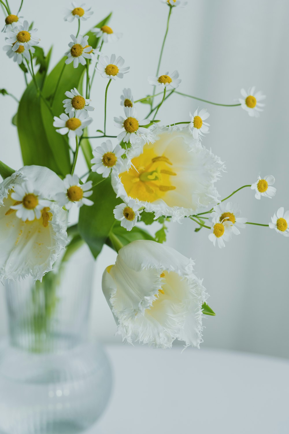 a vase filled with white and yellow flowers