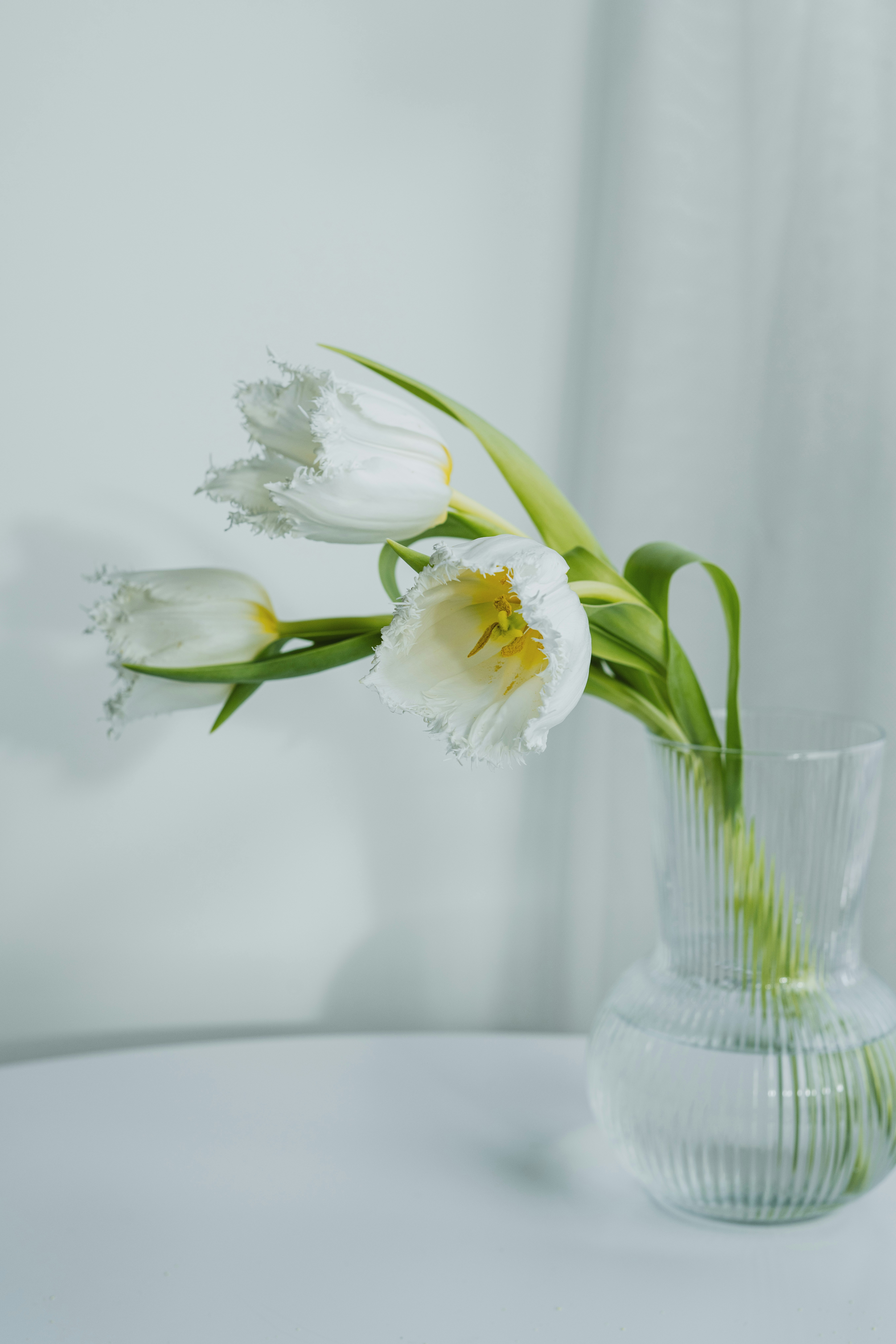 Photo by anitaaustvika